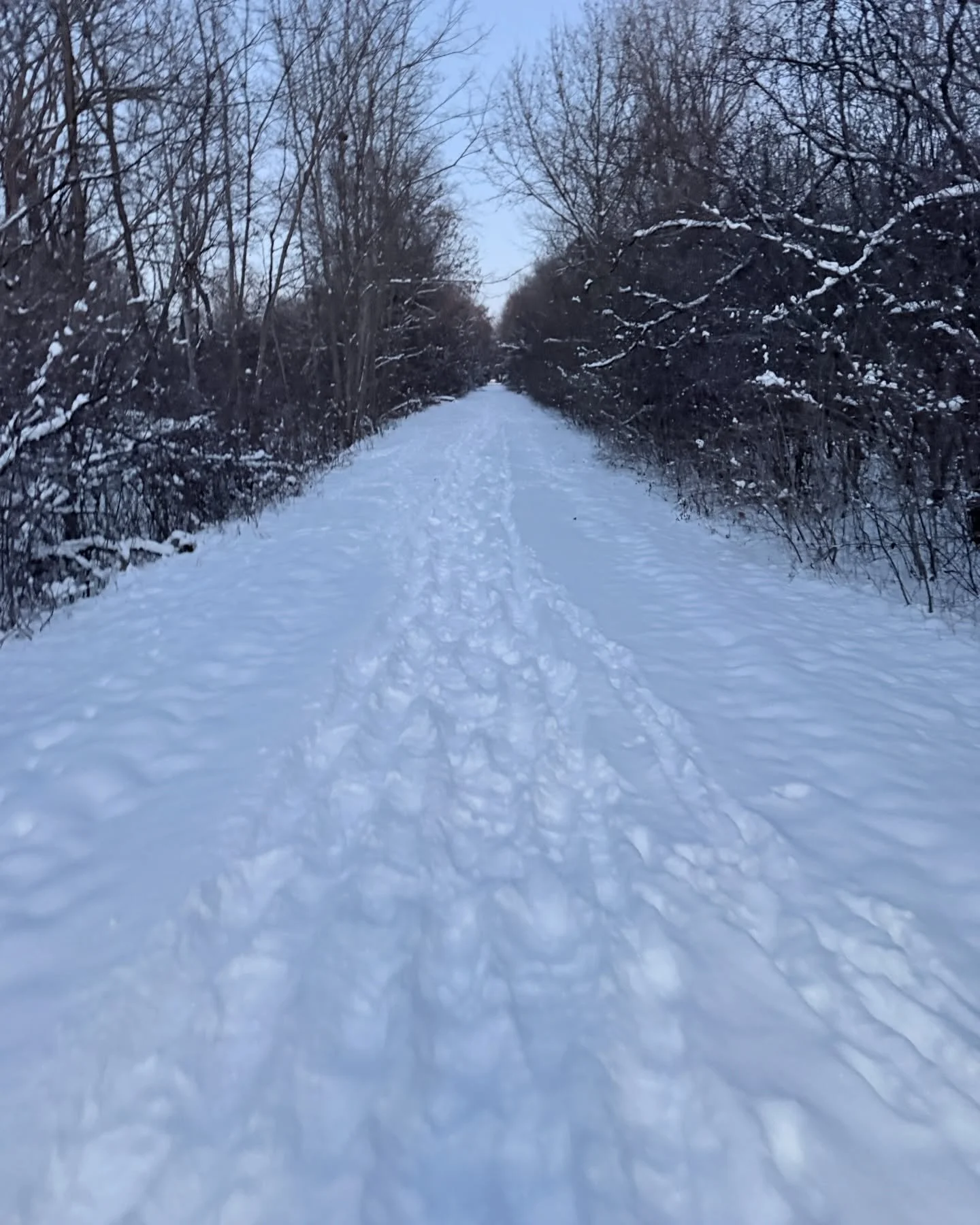 Winter is officially here, and this is what the @clintonrivtrail is looking like! If you plan to come this week, we&rsquo;d recommend some kind of spikes like @yaktraxtraction if you plan to run. Otherwise, we highly suggest walking in waterproof sho