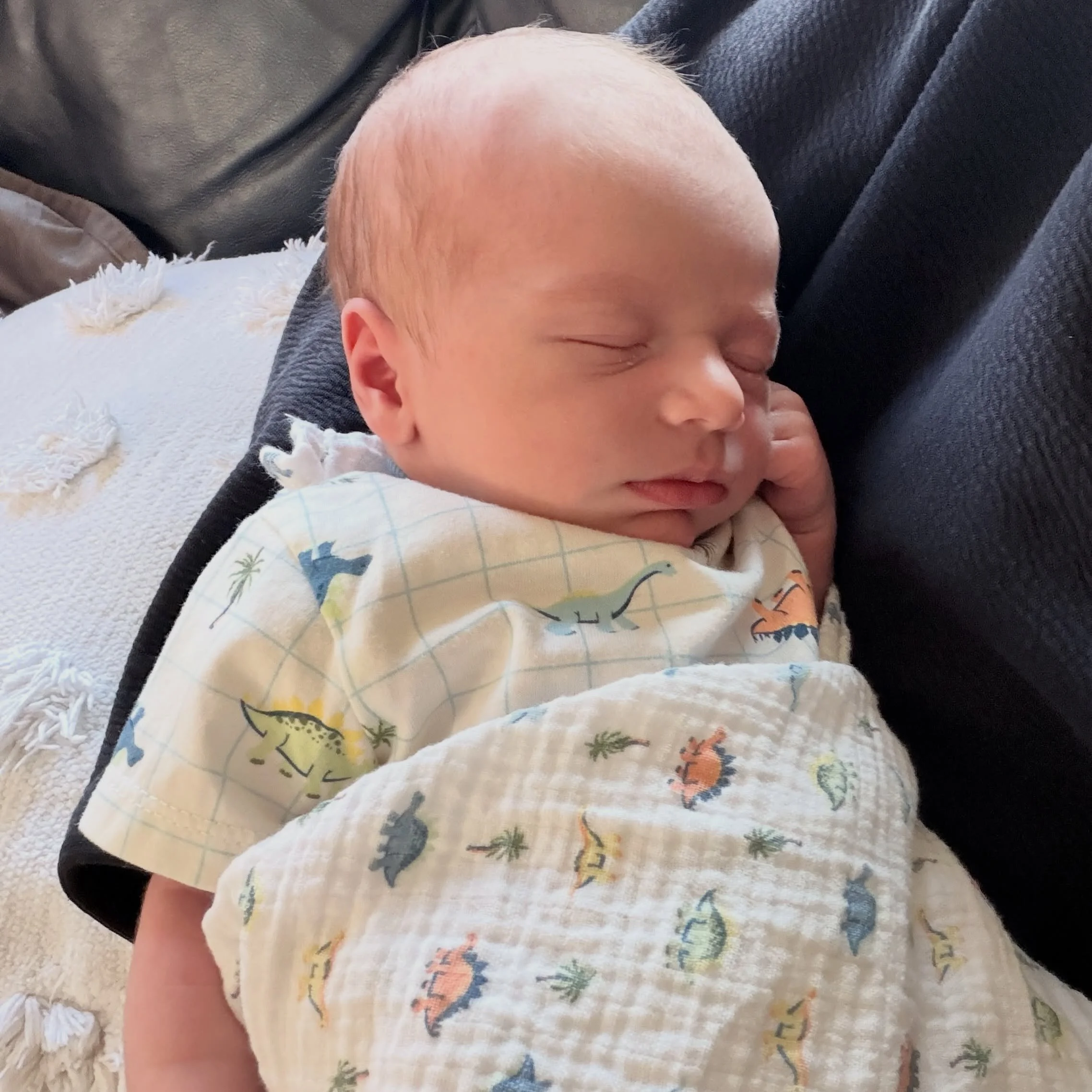 SUPER NEWS: Our run club welcomed a new member last week on 05/20 - meet Oscar. Both his parents are going to see how their night of sleep goes tonight to see if they&rsquo;ll be attending tomorrow morning, but y&rsquo;all should take advantage of be