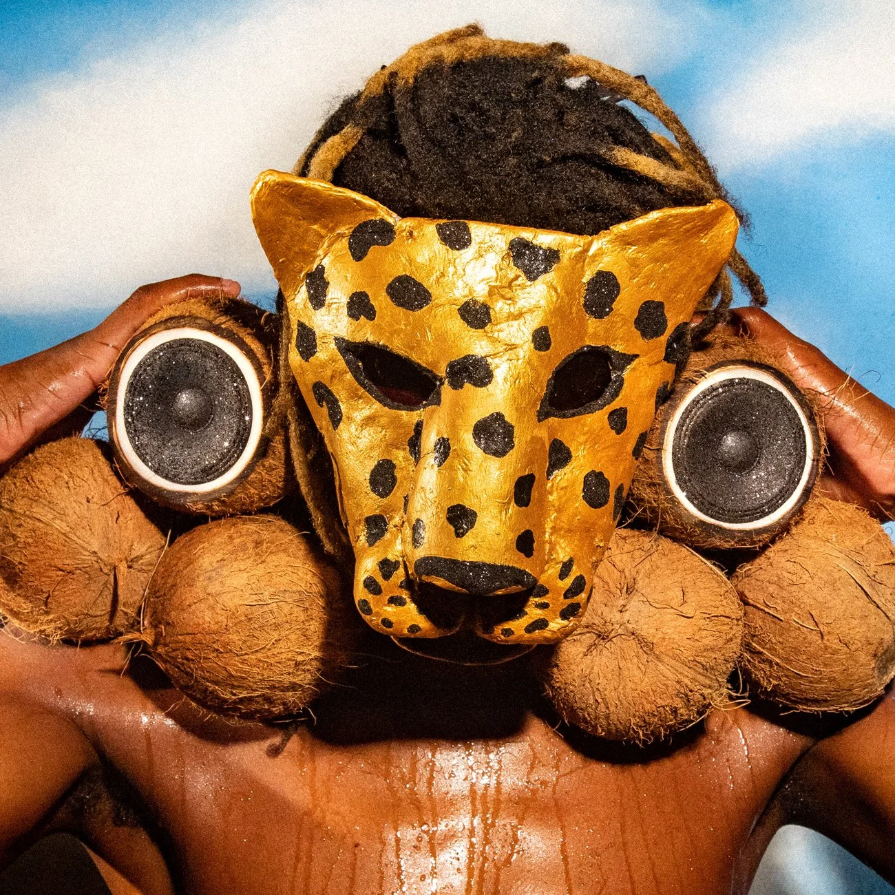 Coquinho • Amigos da Onça