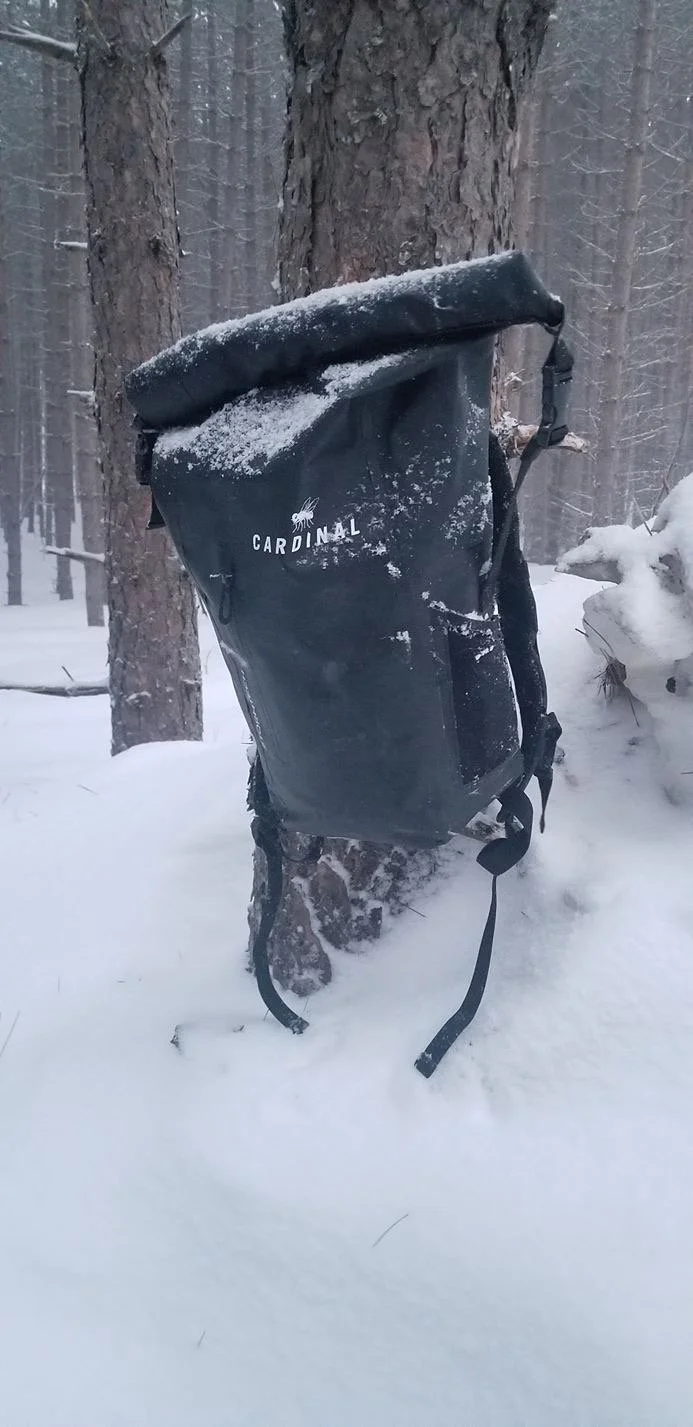 A black Cardinal backpack leaning against a tree trunk in a snowy forest, with snow on the backpack and surrounding ground.