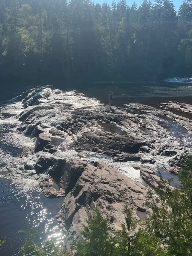 Person standing on a rocky riverbed with water flowing over rocks, surrounded by trees under a clear sky.