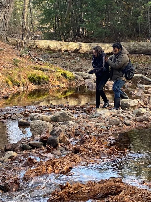 Two people, a man and a woman, are crossing a small stream in a forested area during daytime. The man is helping the woman across the rocks in the water.