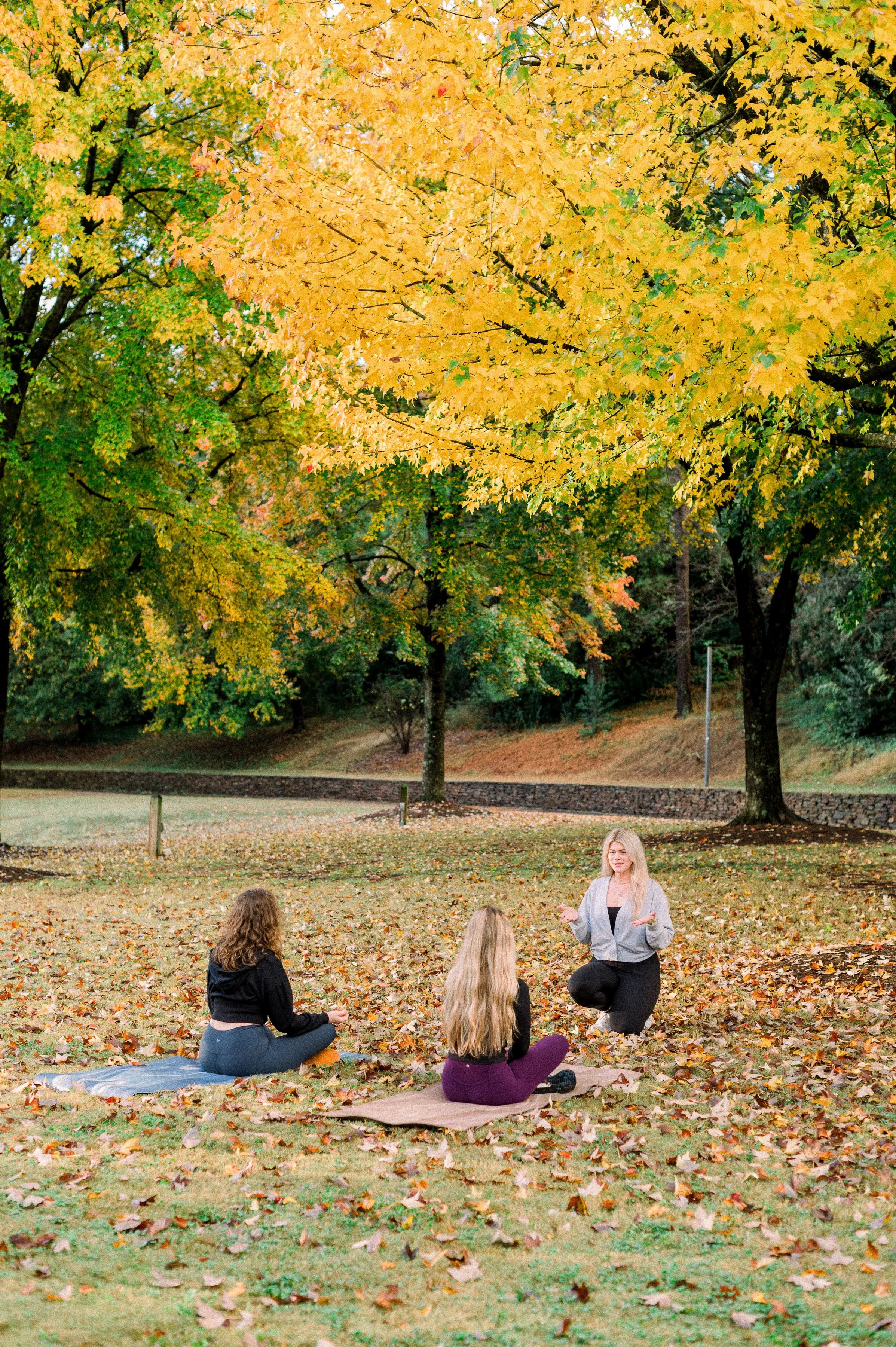 Breathwork + Meditation