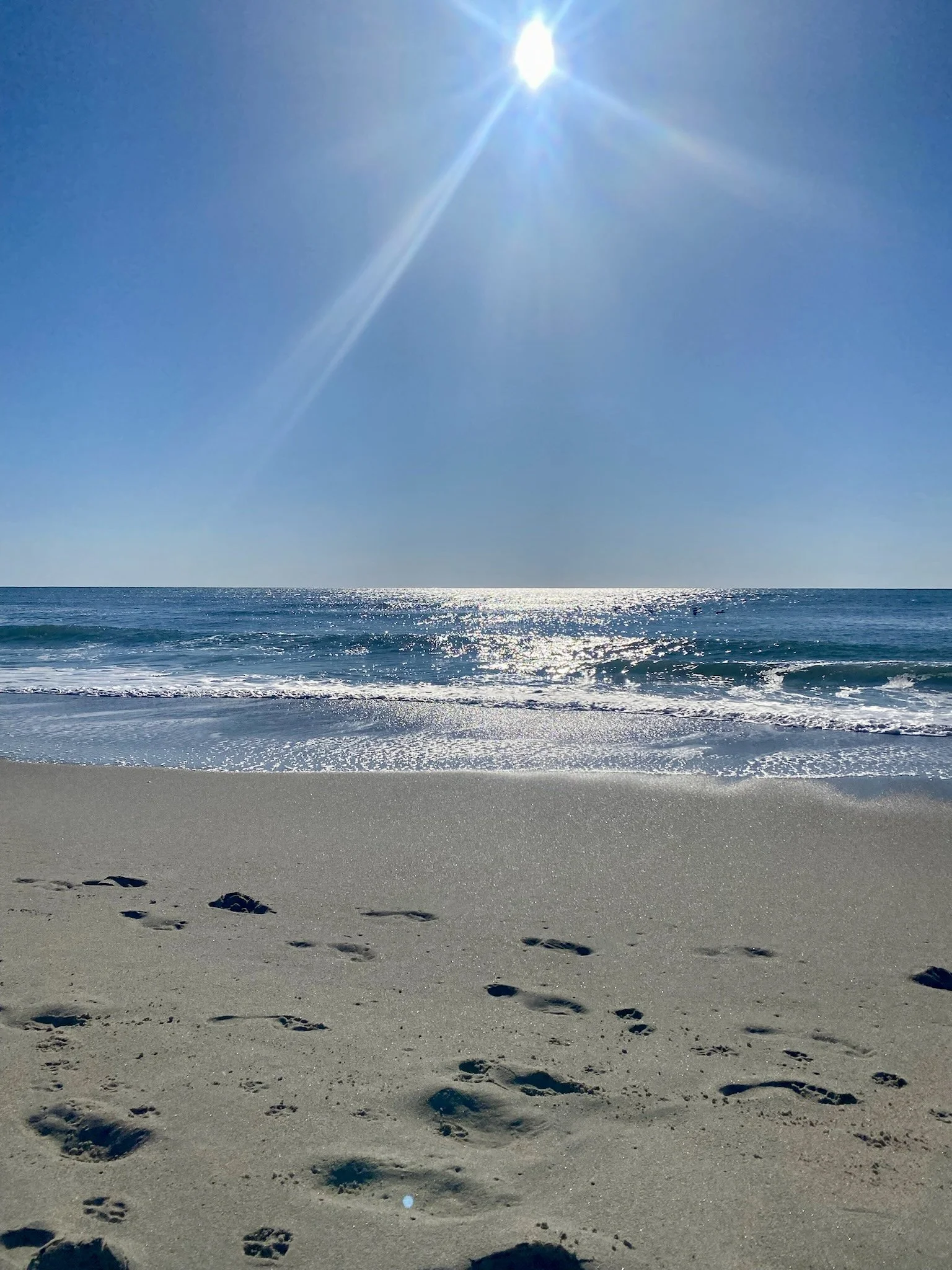 IMG_0208.jpeg