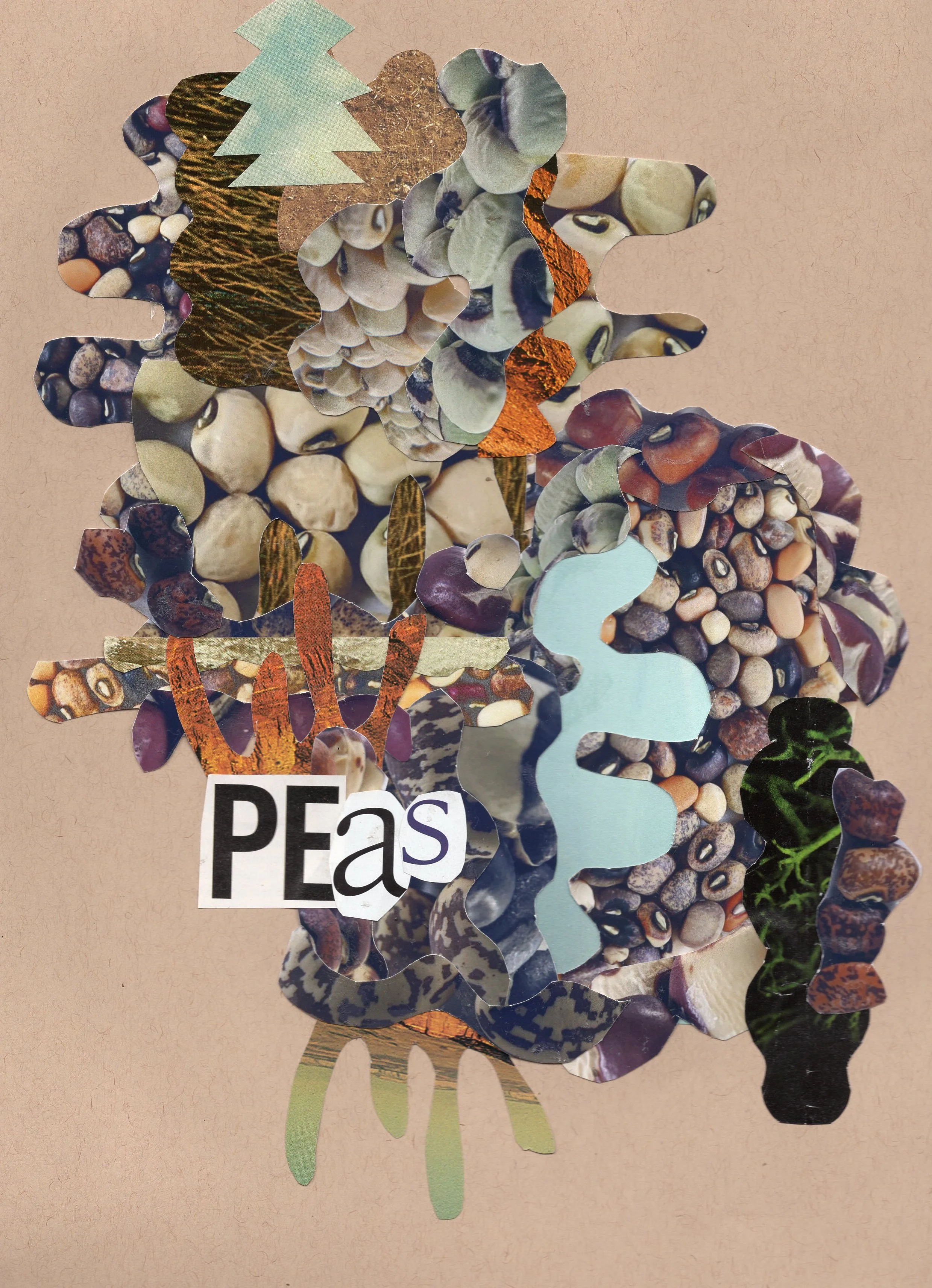 A collage made of various cutouts of beans, pebbles, and plant images. The word "peas" is prominently displayed in the lower left corner with letters cut out from magazine pages.