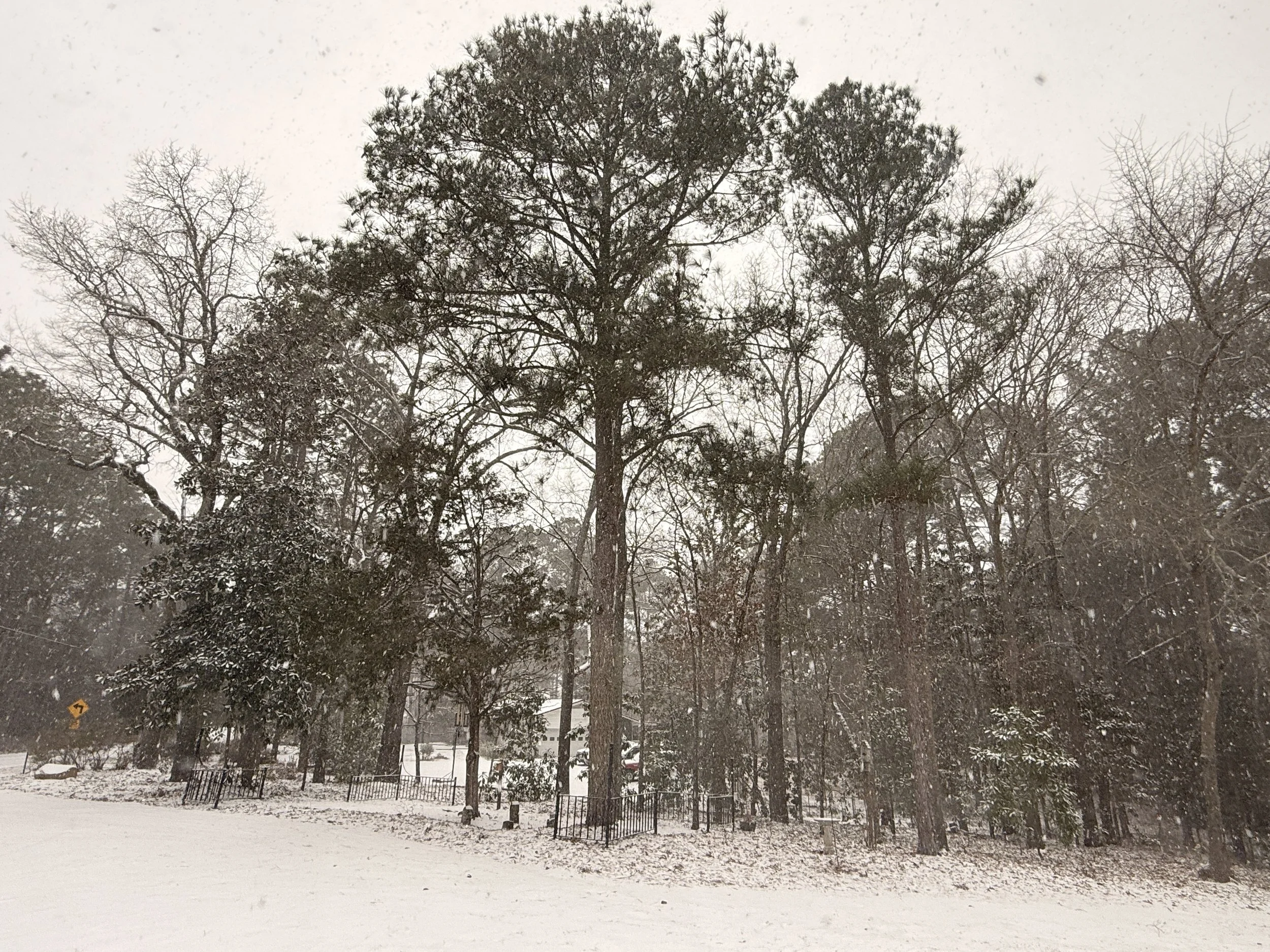 Winter 2026