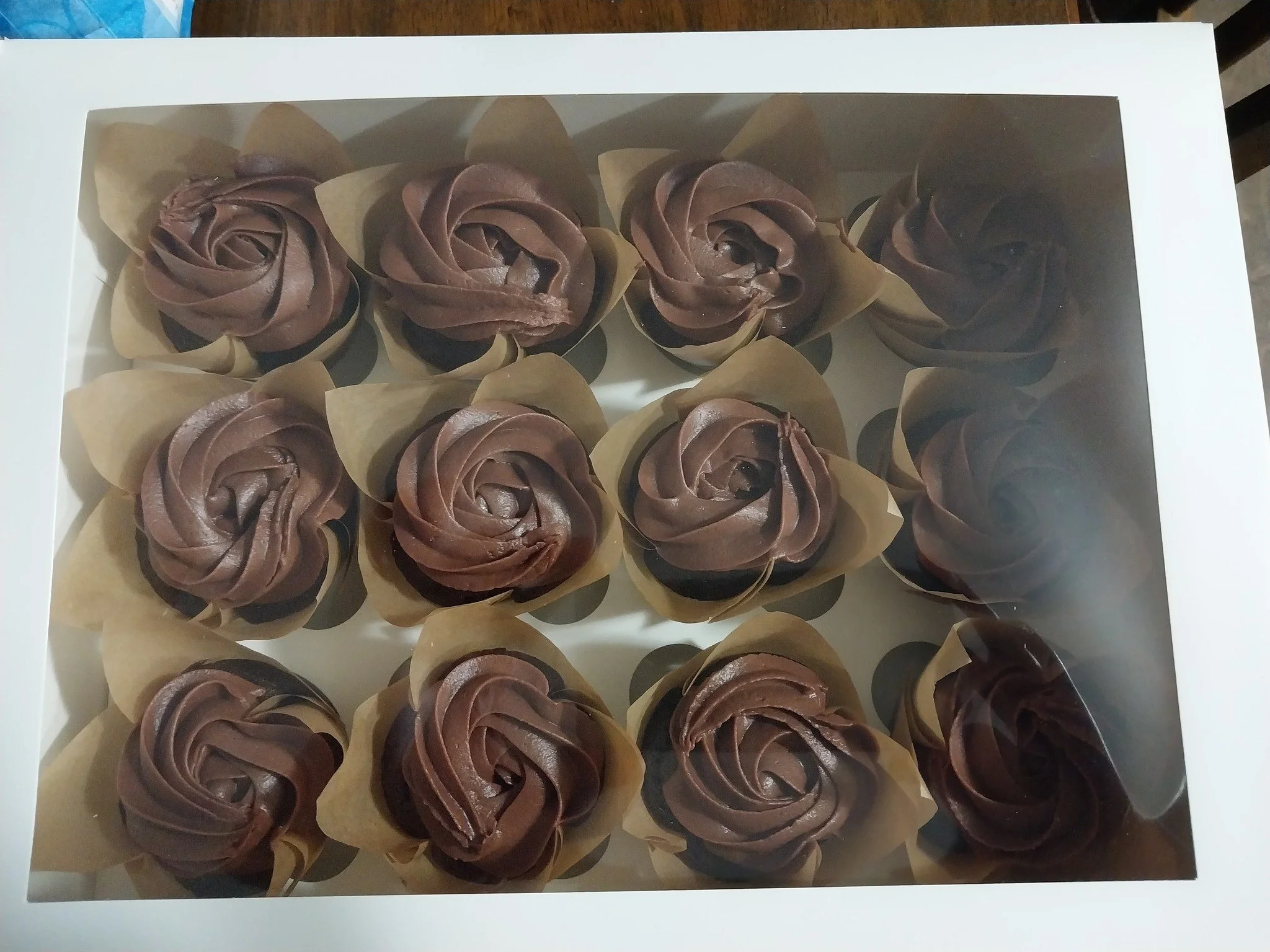 chocolate cupcakes.jpg