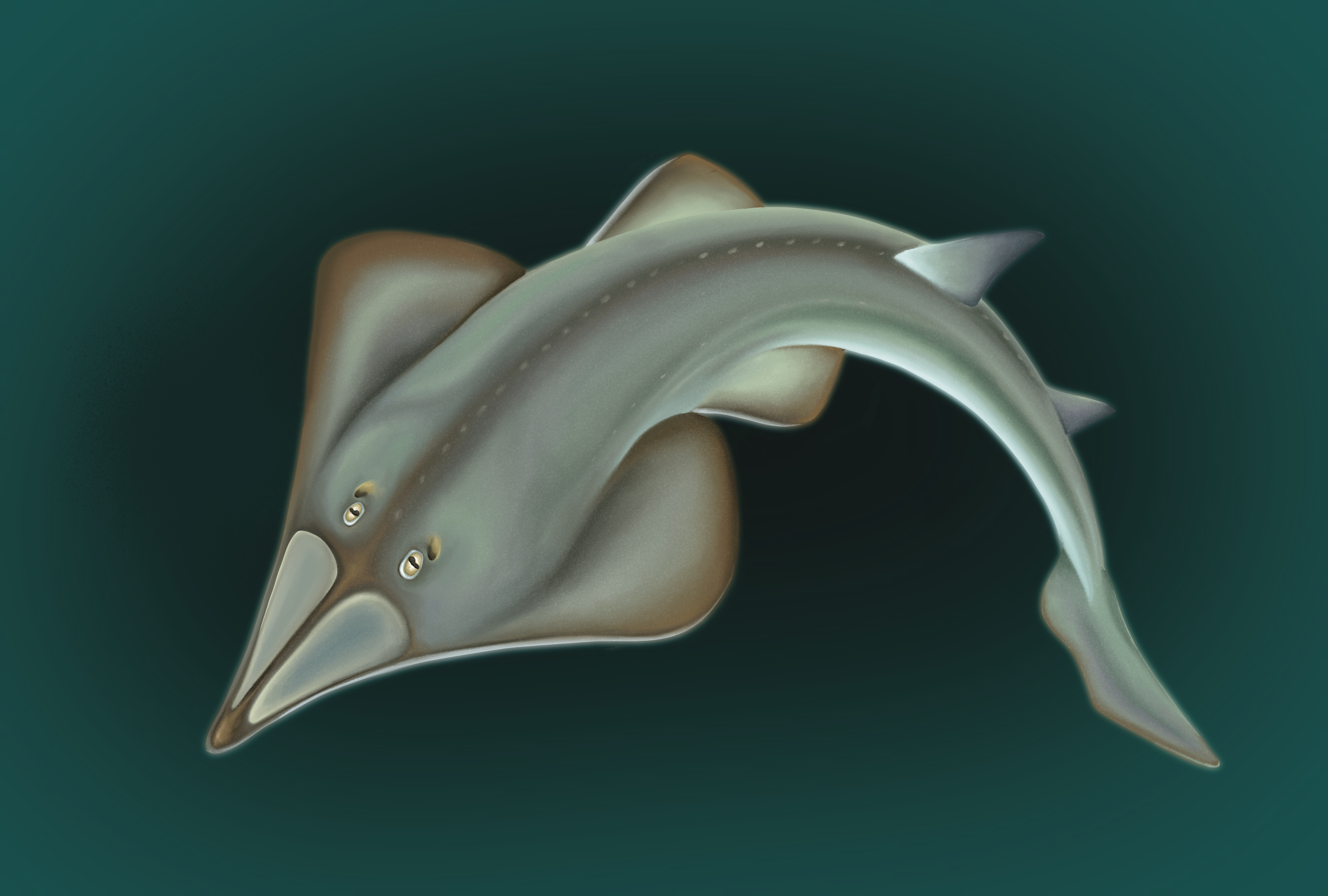 Untitled_Artwork 27.png
