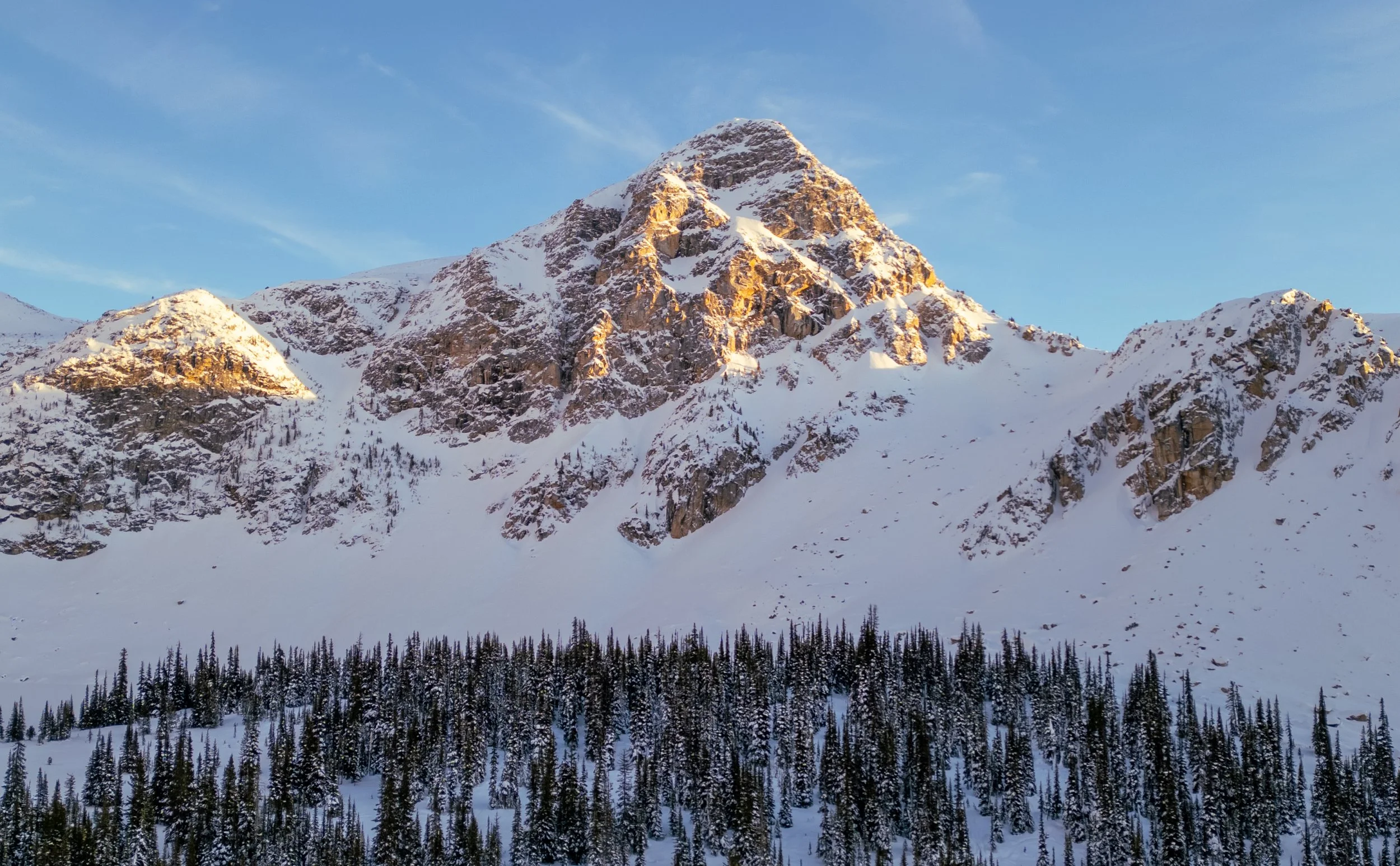 Snow-covered mountain peaks with evergreen trees at the base under a blue sky.