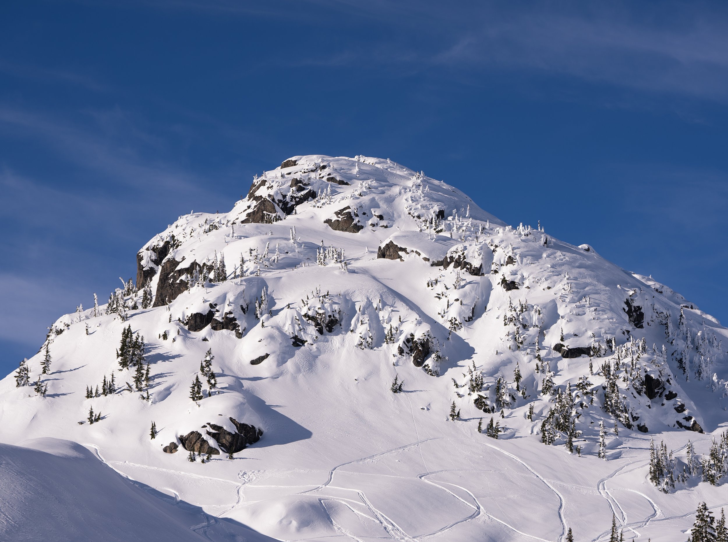Snow-covered mountain with trees and ski tracks against a blue sky.