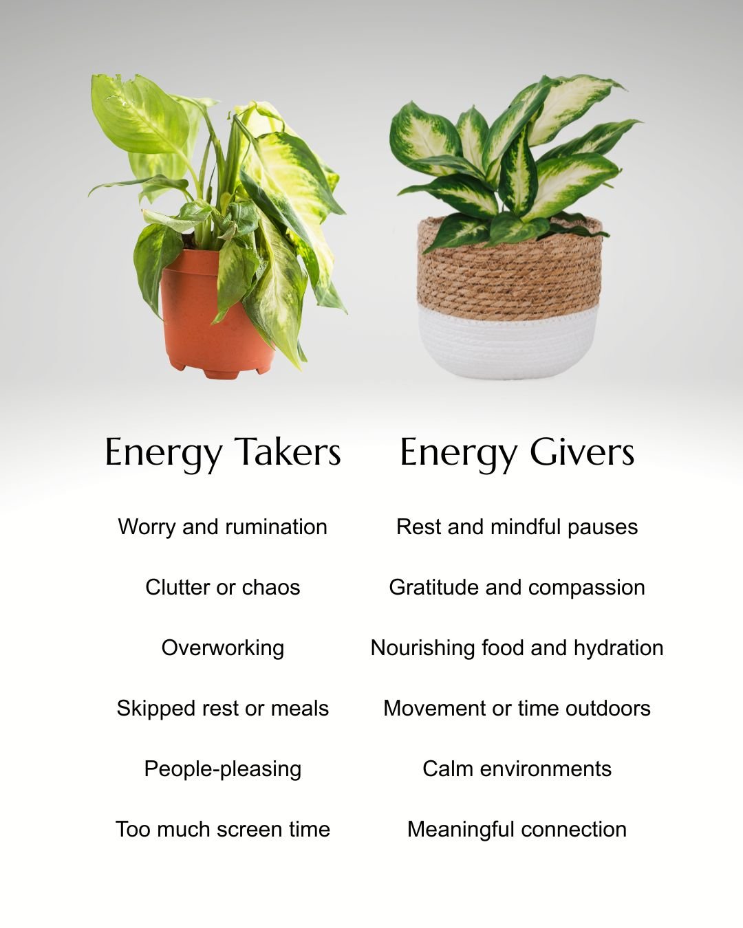 Two potted plants one thriving, the other one wilted- symbolizing impact on our well-being.