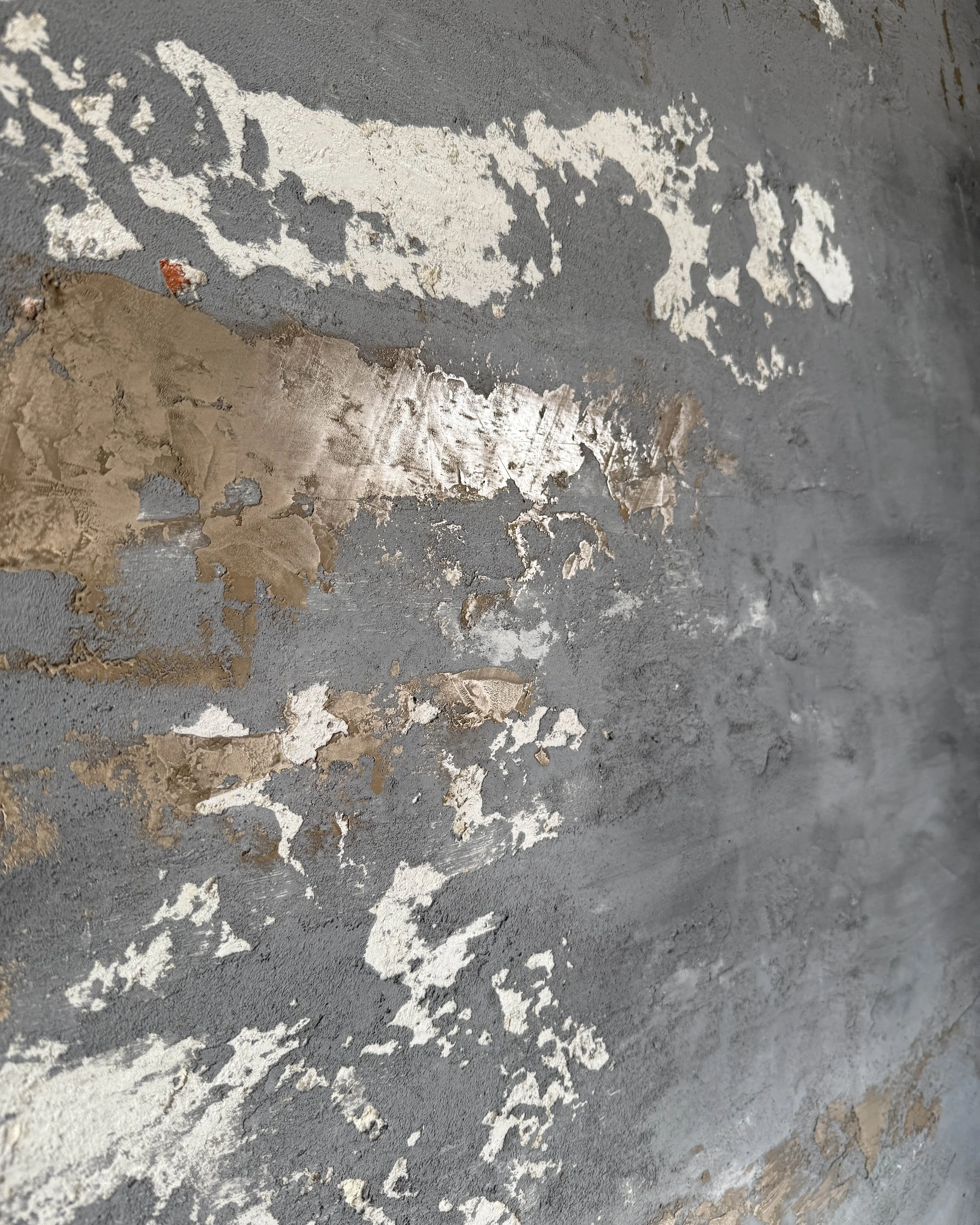 3 Decorative-Plaster-Finish-Closeup.JPG