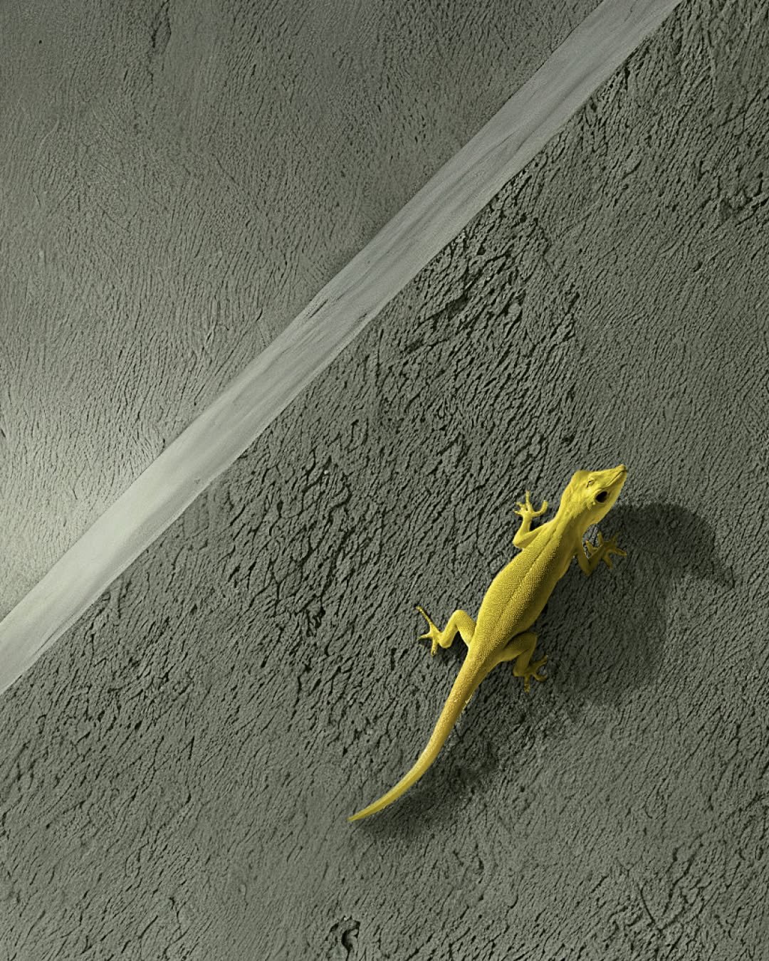 Some surfaces don&rsquo;t rely on color alone. They rely on material.

In this space, Archi+ Argilla shapes the walls with a mineral finish formulated with natural clay, creating depth that feels organic and grounded. Its soft texture allows light to