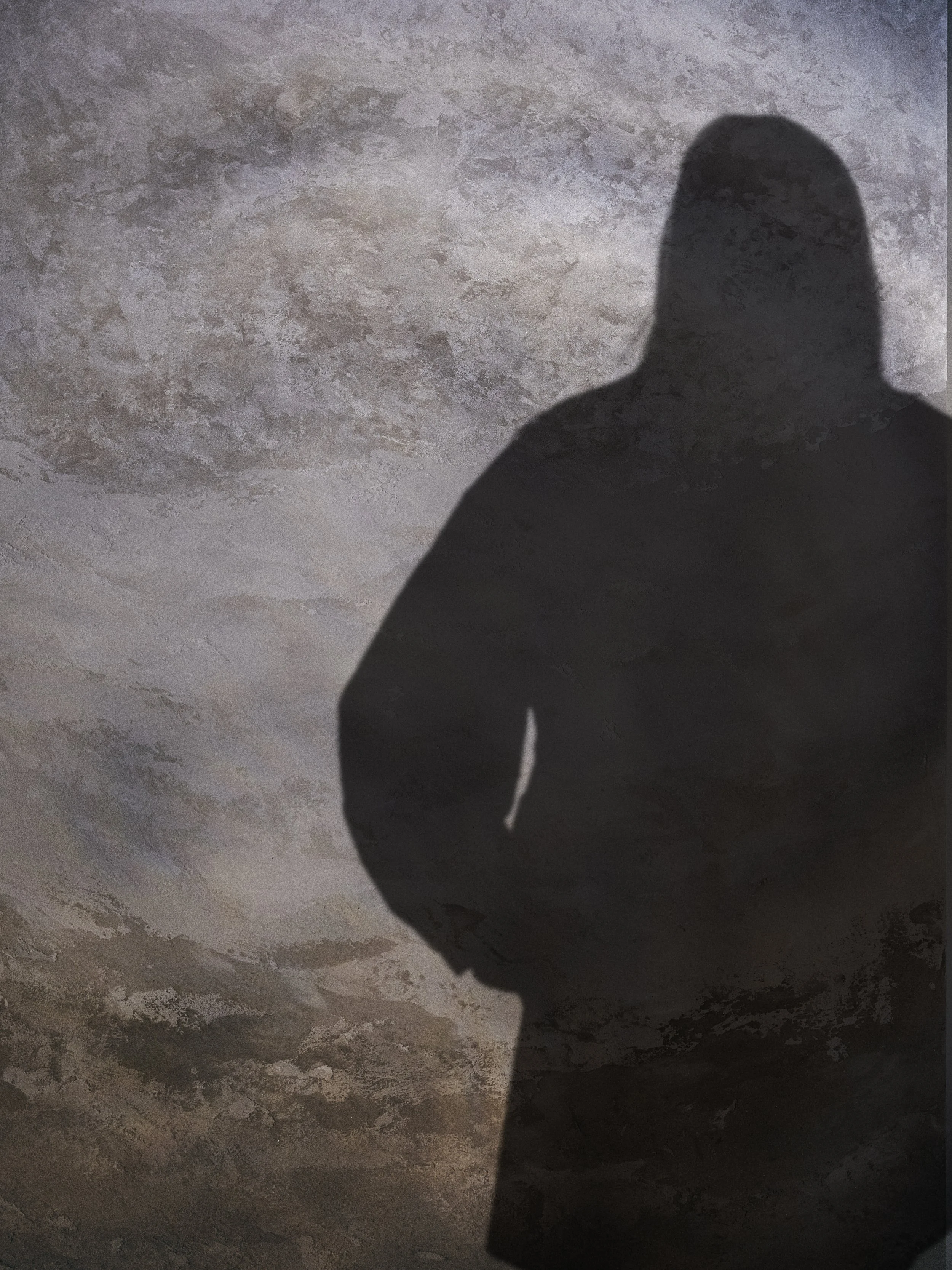 BETH SCHAFER-ombra.jpg