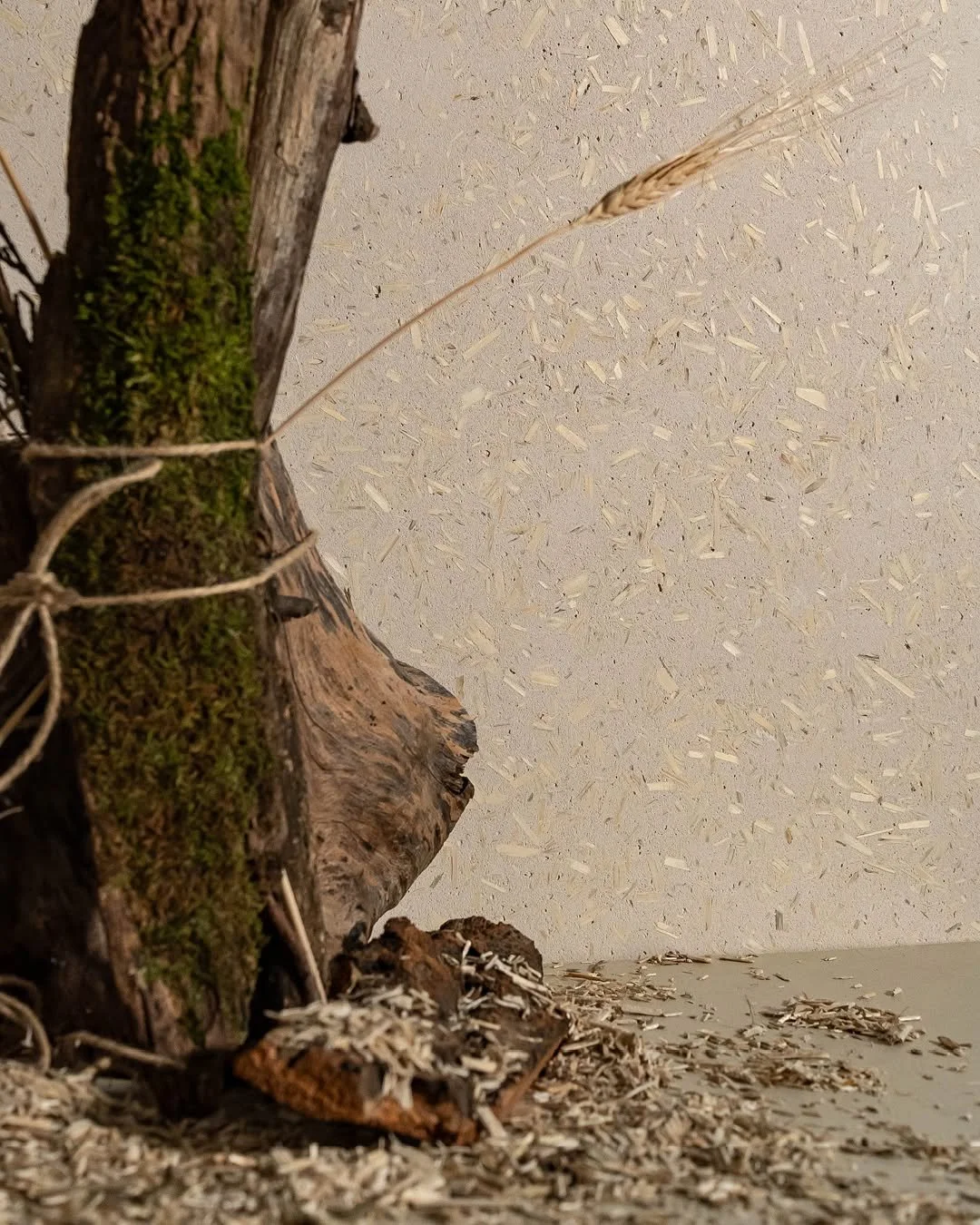 Have you worked with a finish that people instinctively want to touch?

Materia Viva Canapa from @novacoloritalia introduces natural hemp fibers into a lime-based surface, creating a texture that feels soft, warm, and intentional without being overly