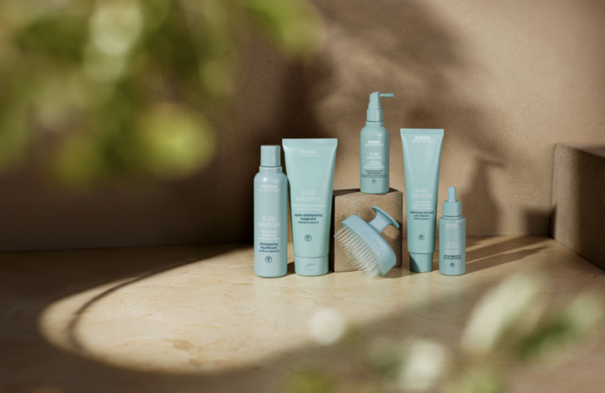 The Root of It All: Why Scalp Care Is the Wellness Ritual You’ve Been Missing