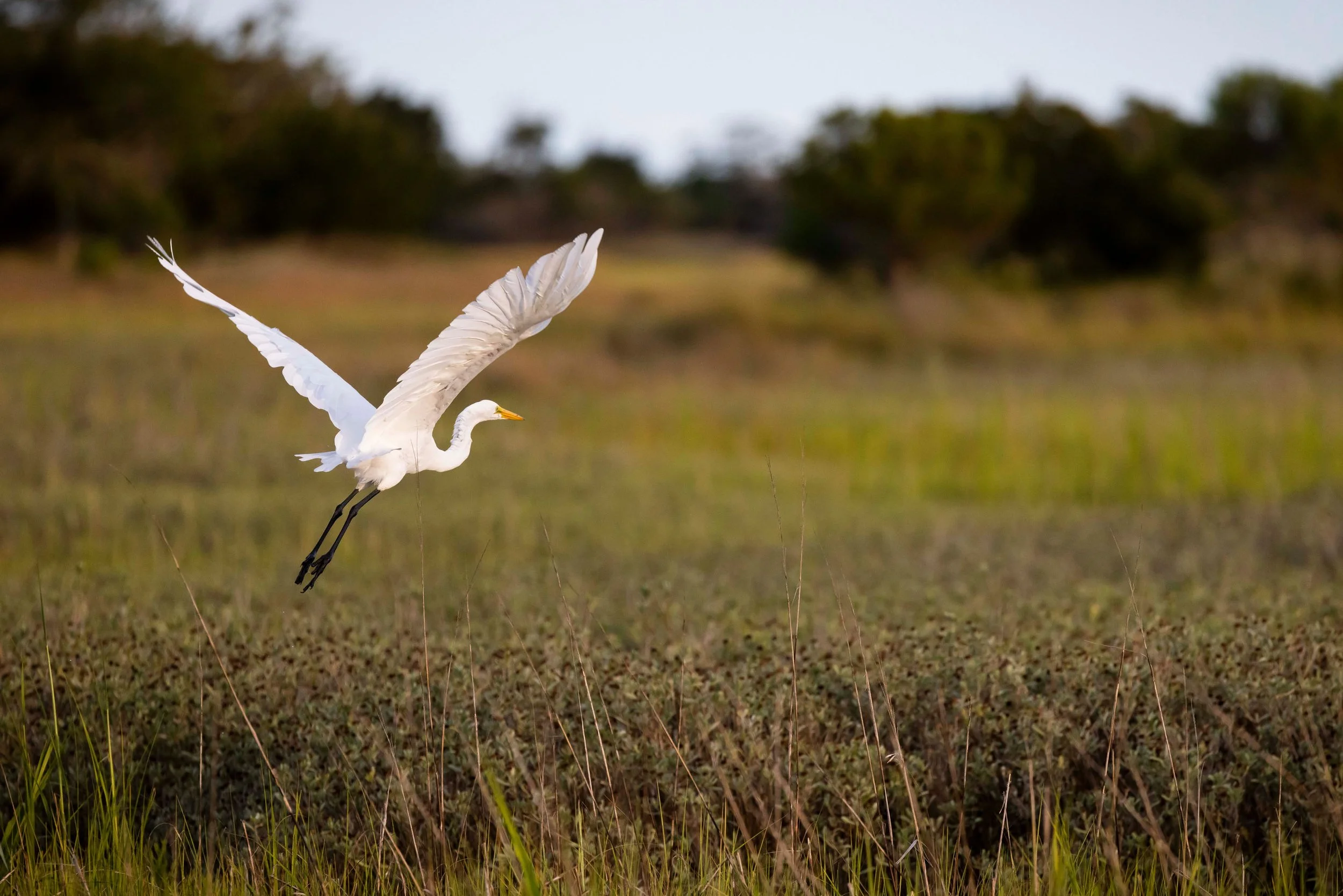 AdobeStock_517021843.jpg