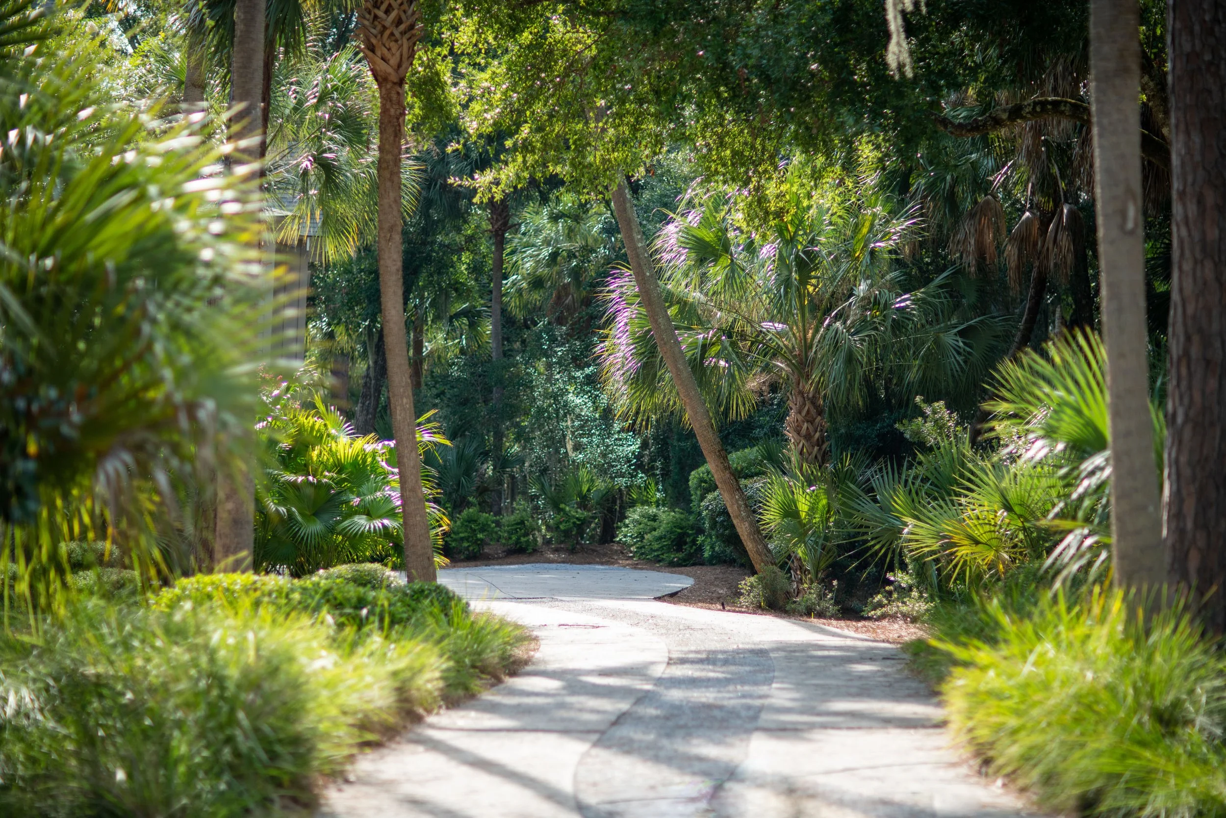 AdobeStock_523662138.jpg