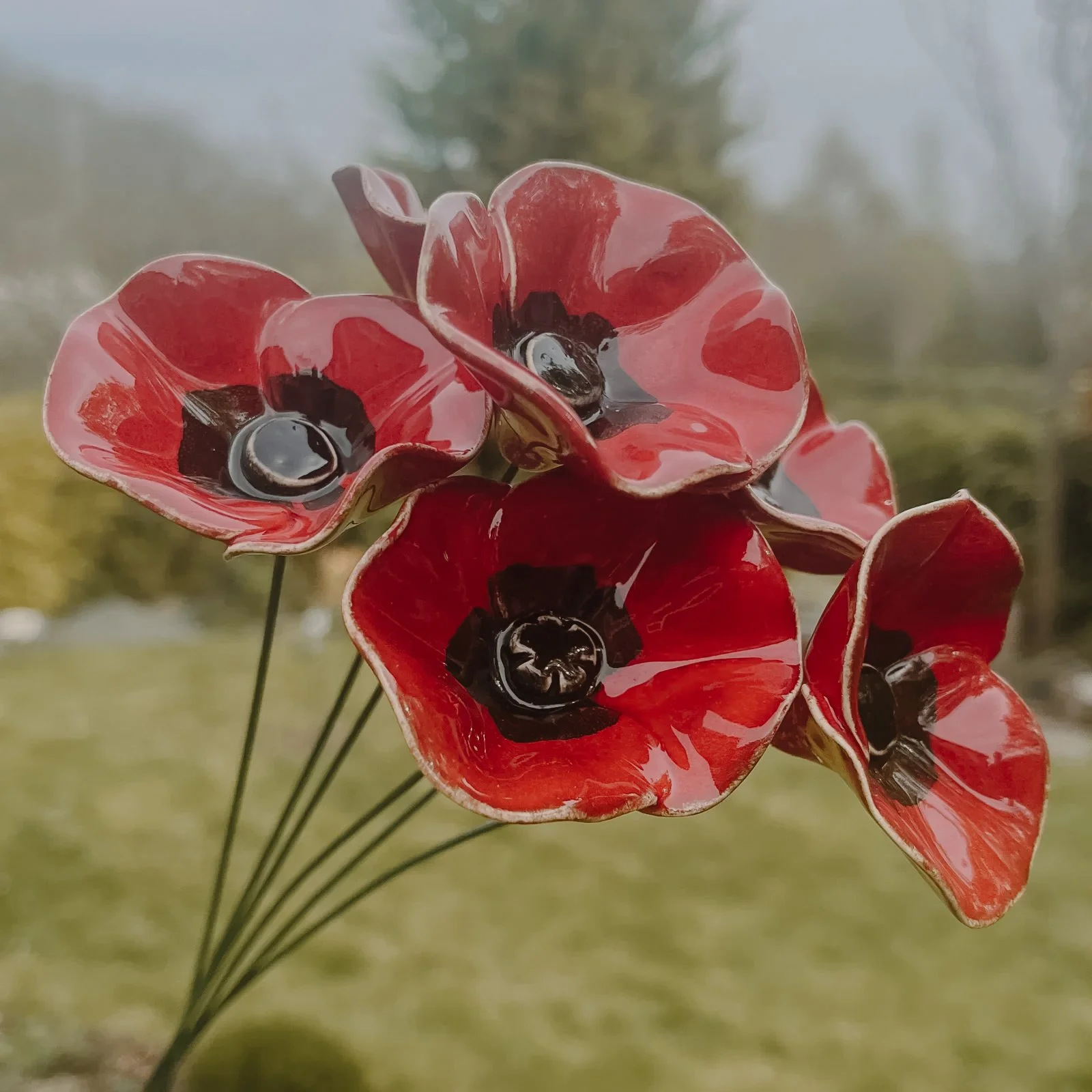 Kids One-Shot: Poppy Flowers