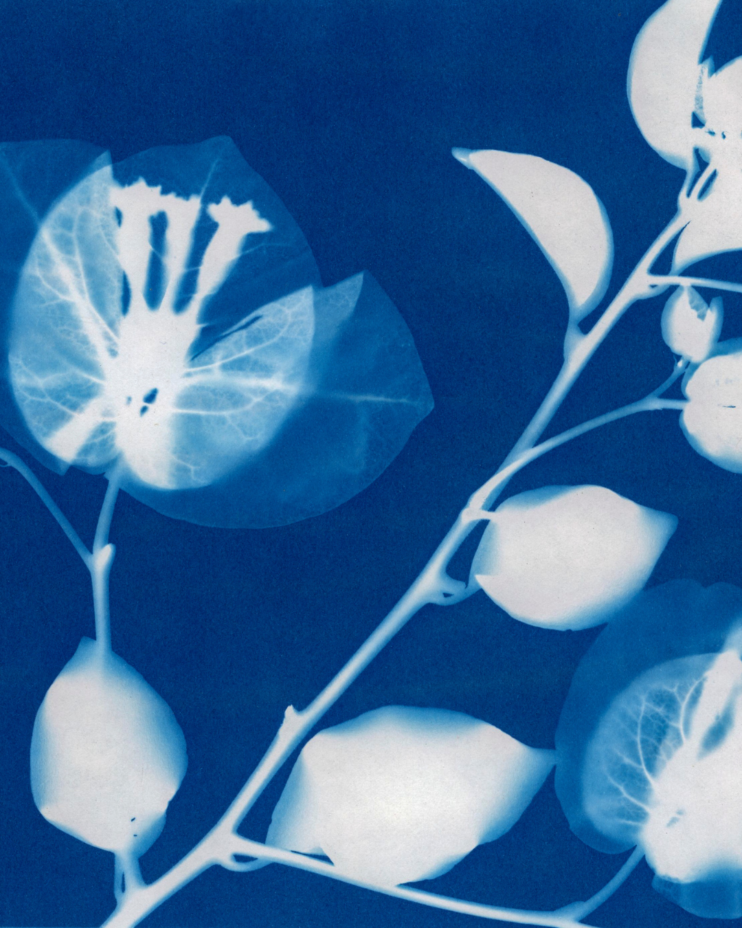 Kids: Four-Day Printmaking Powerhouse Class