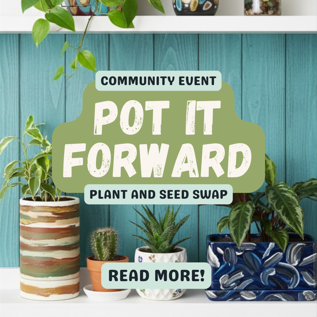 Pot It Forward