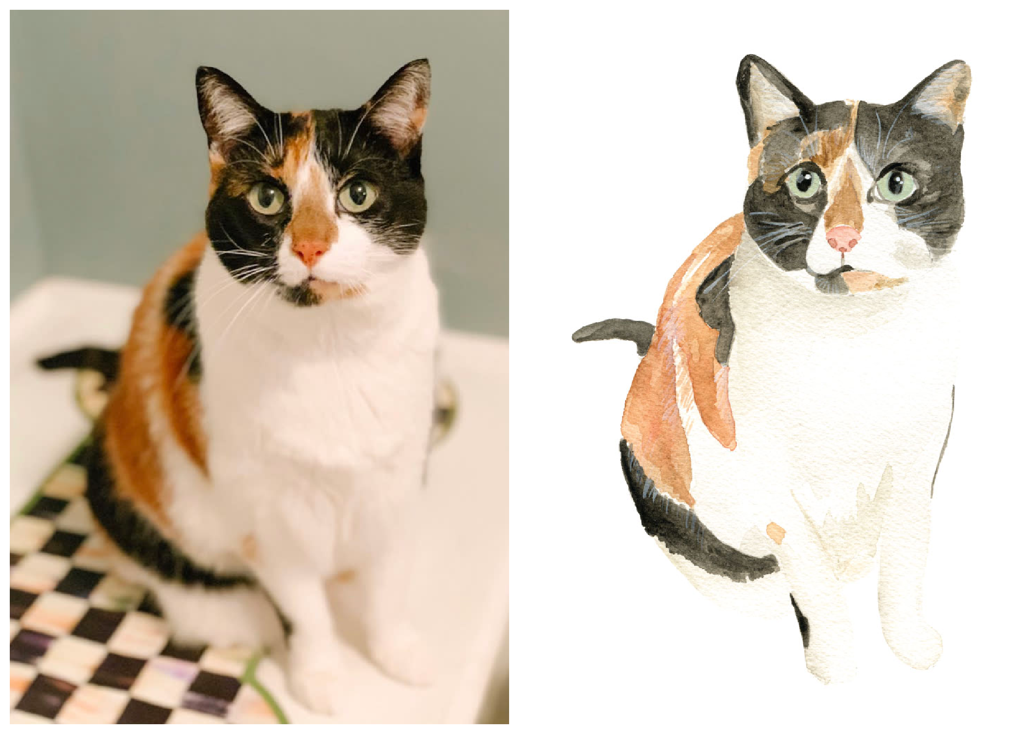 Trace and Paint Watercolor: Pet Portraits