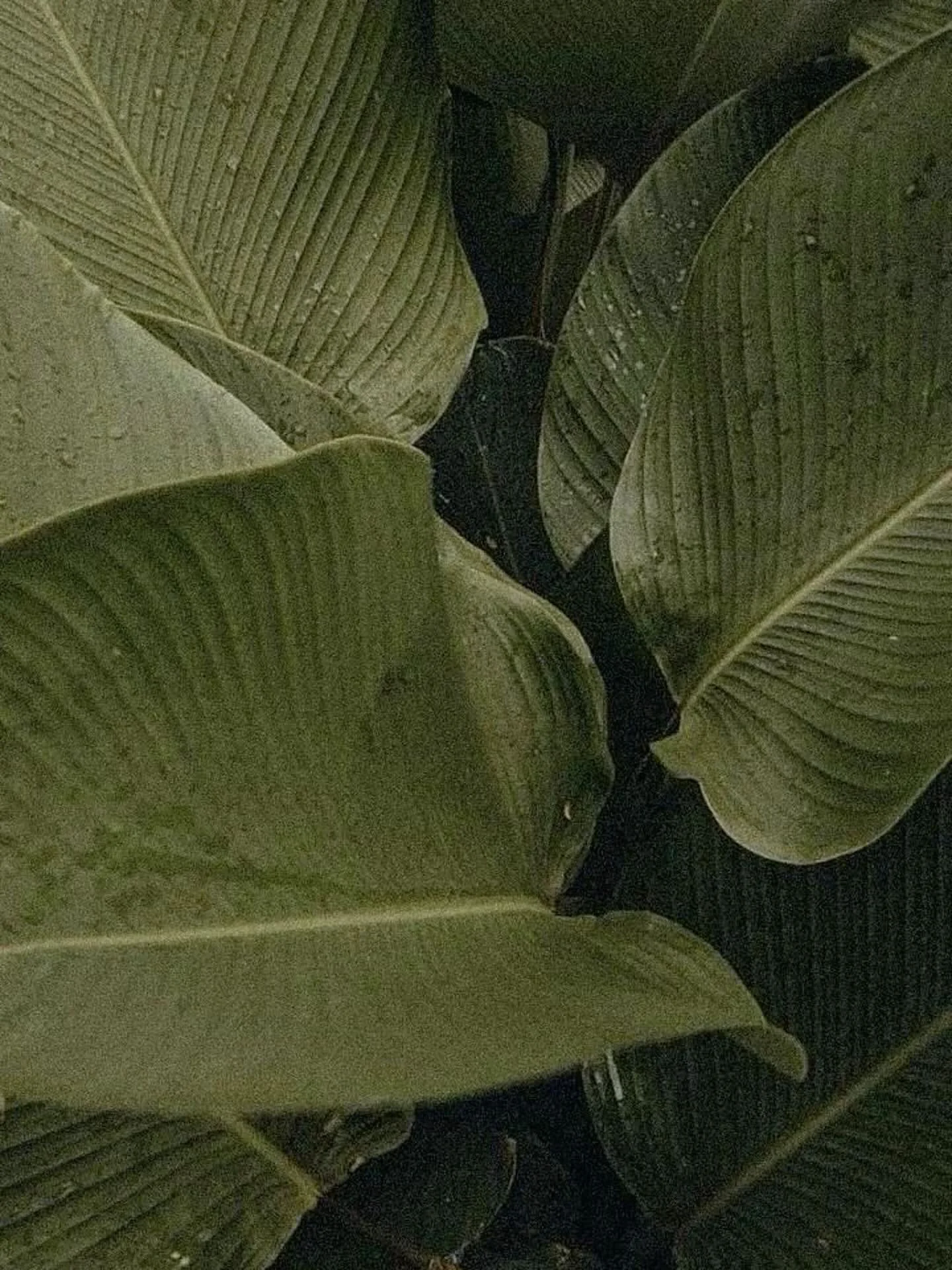 Deep Sea Remedy &amp; Wellness ❤️
Where relaxation meets results.

Experience personalized Massage Therapy&mdash;Deep Tissue, Myofascial Release, Swedish, and more&mdash;designed to release tension and restore your body.
Enhance your wellness journey