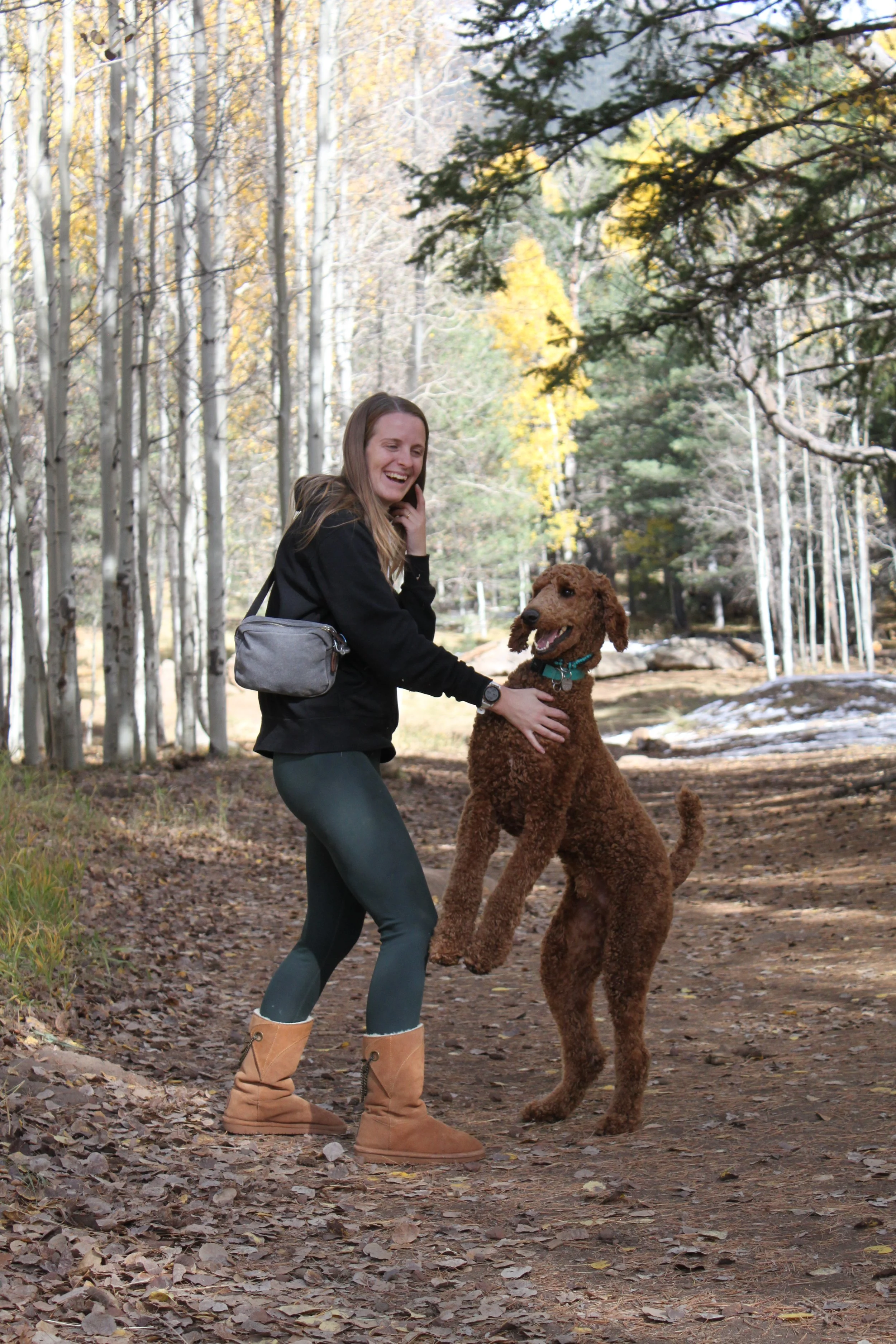 A woman and a red standard poodle playing together on a forest trail during fall.