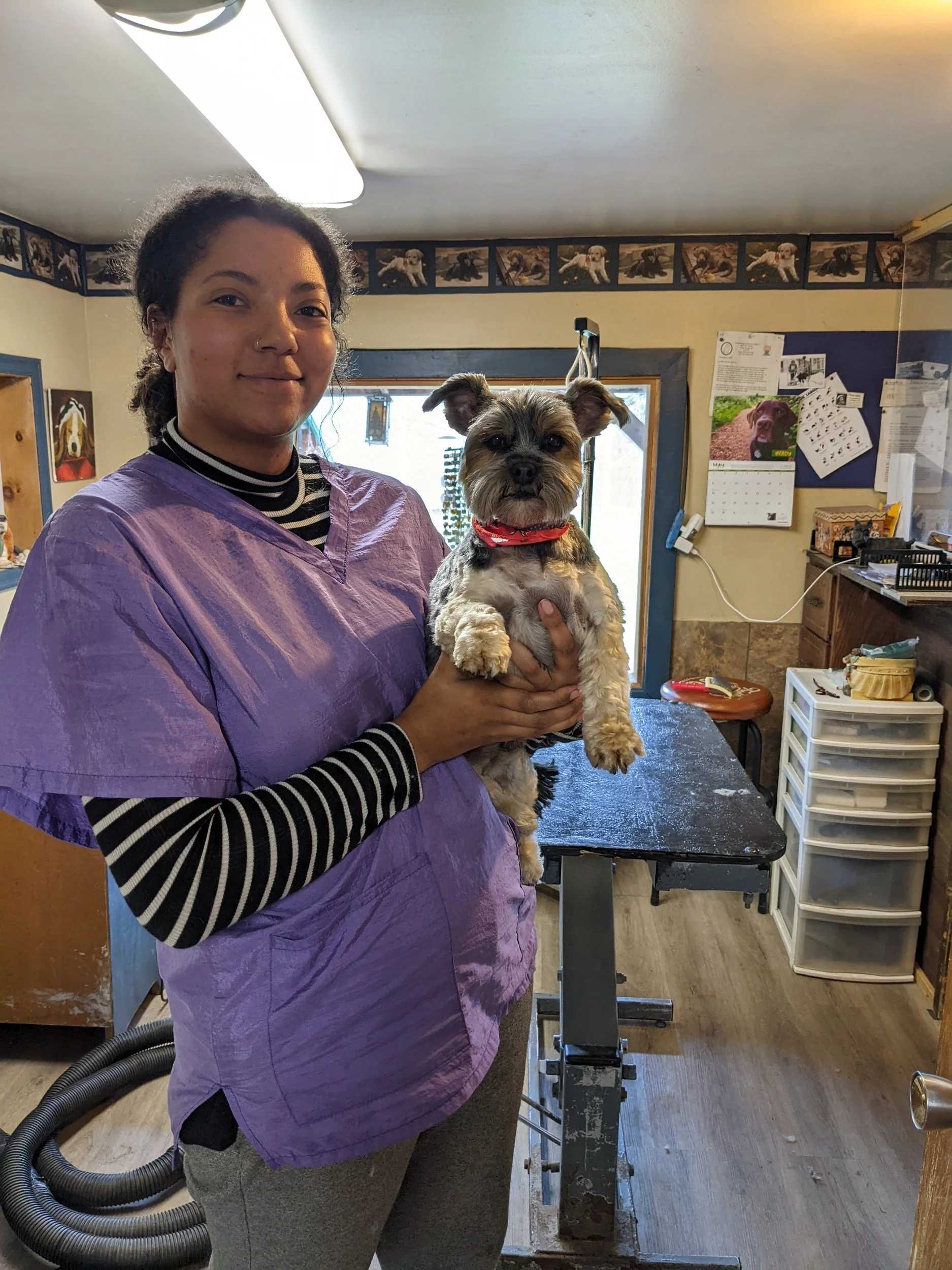 A woman wearing a purple vet apron holding a small mixed breed dog inside a veterinary clinic.