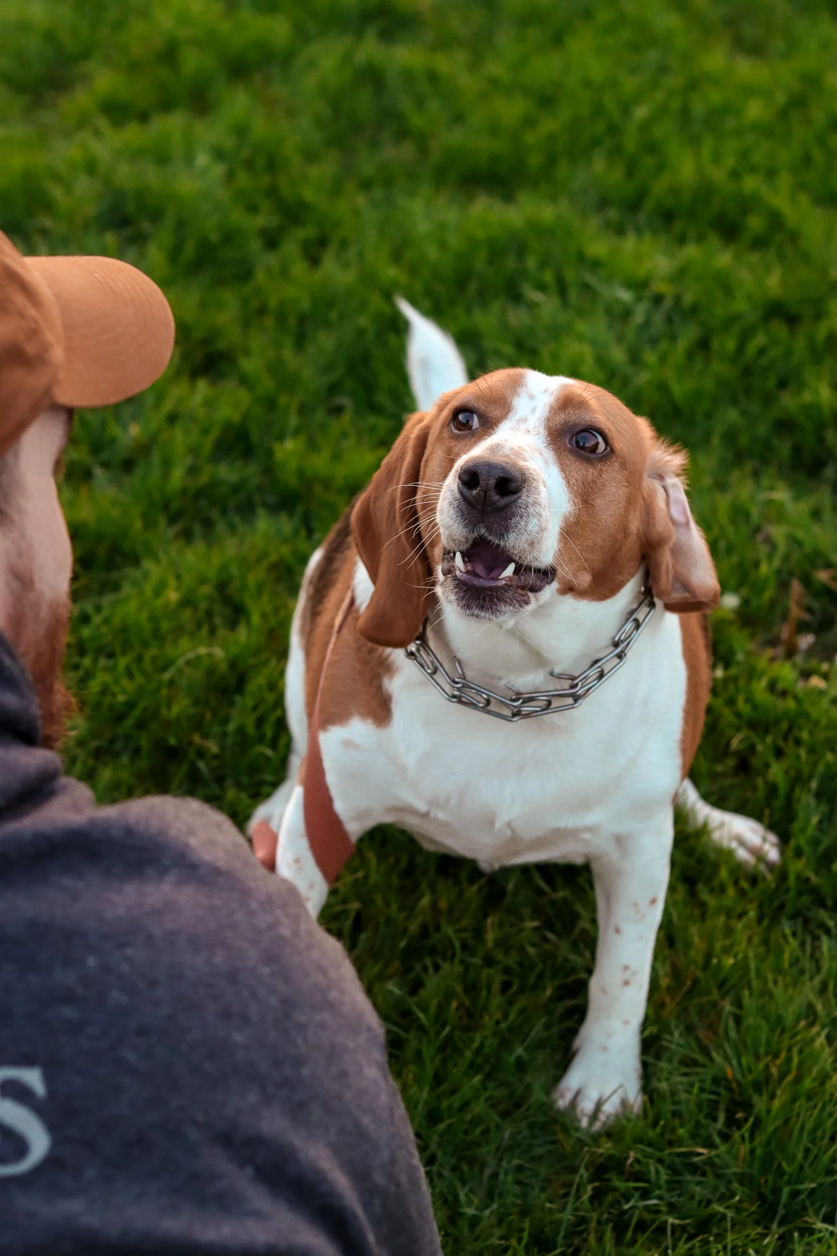 Squarespace -130.jpg