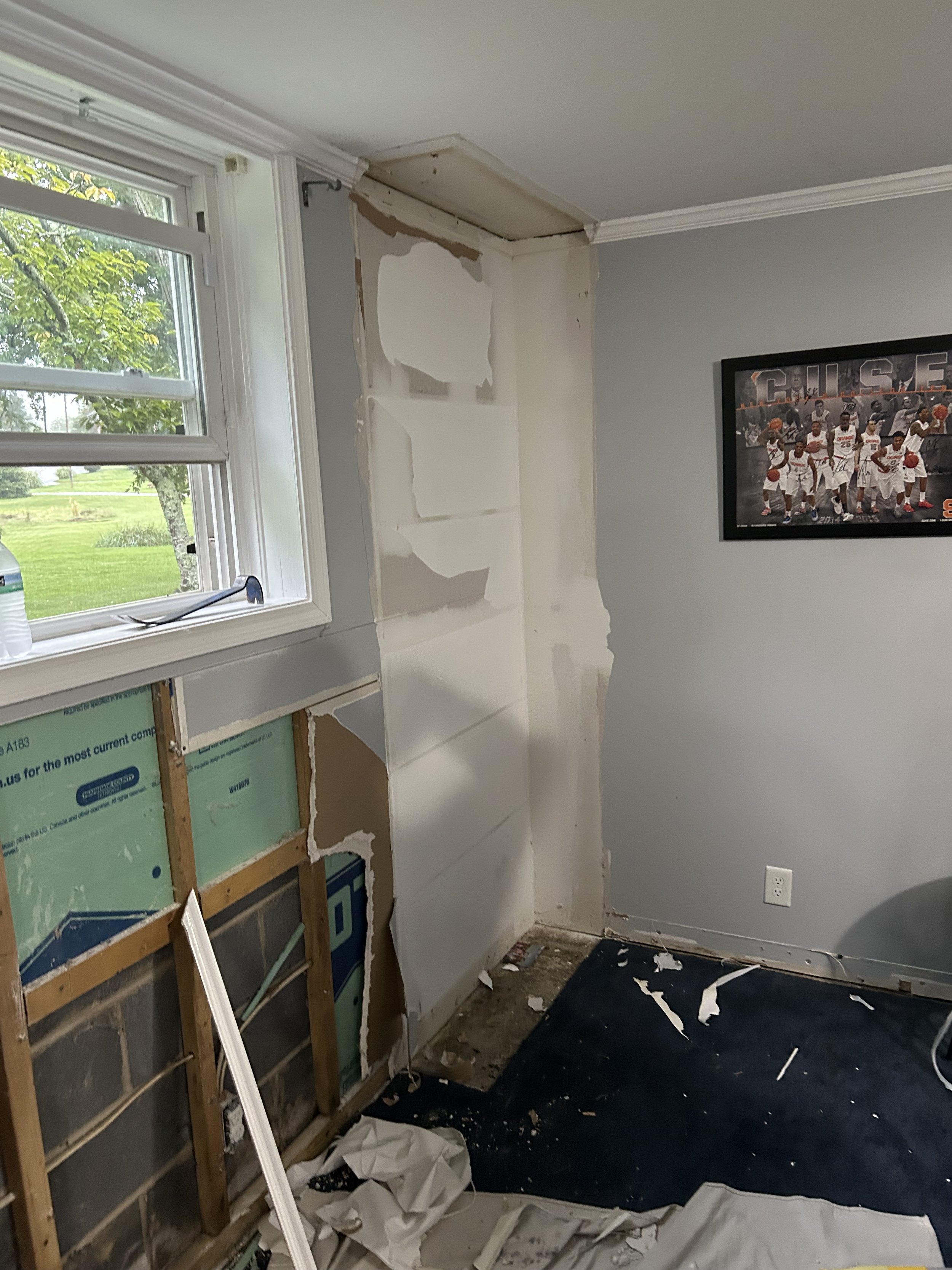 Room undergoing renovation with drywall sections removed on the wall, exposed insulation and studs, a window with a view of green trees and grass, a framed sports team photo on the wall, and scattered debris on the floor.