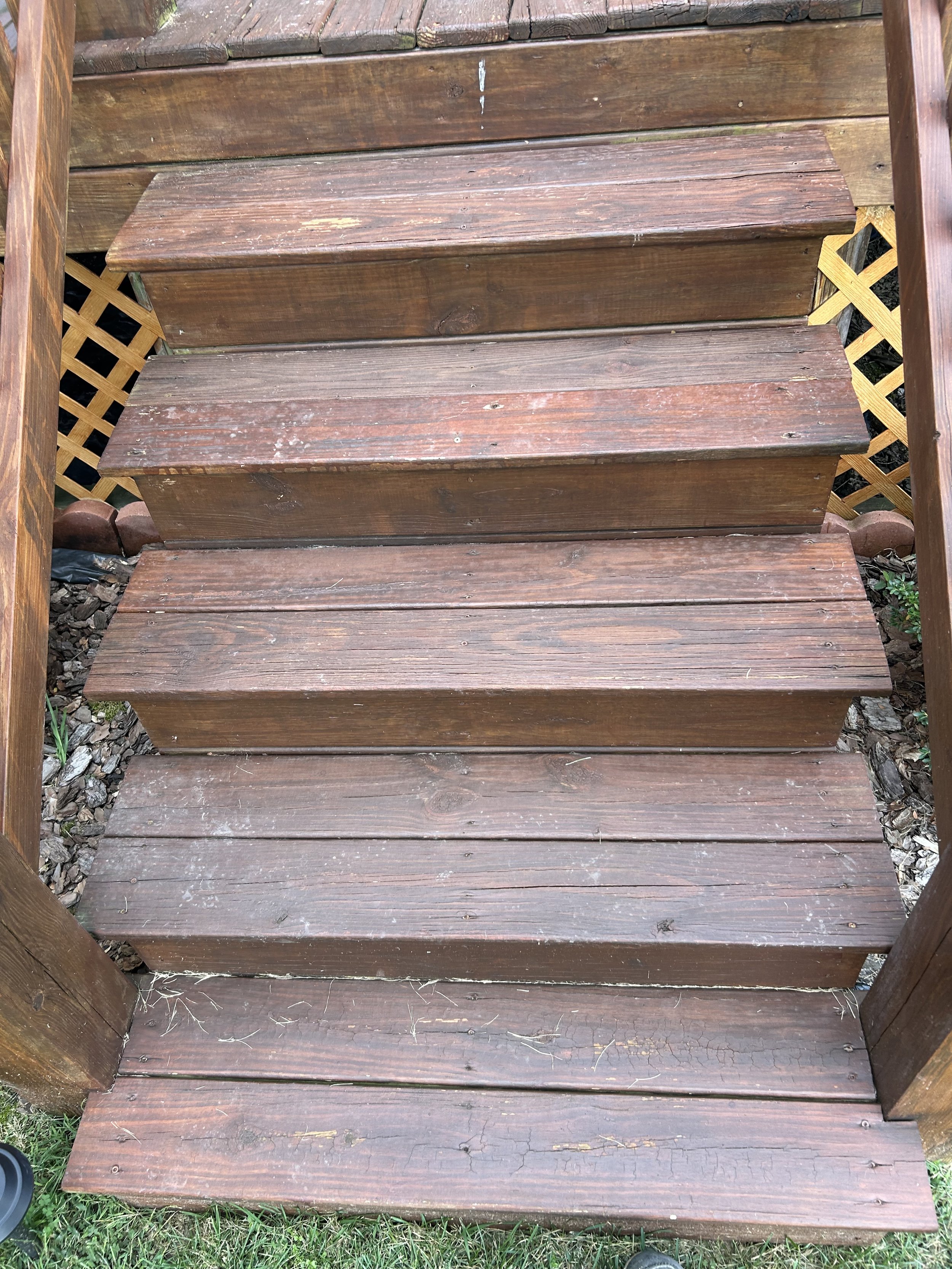 A wooden staircase with five steps, with a lattice fence on each side and small patches of grass and gravel at the bottom.