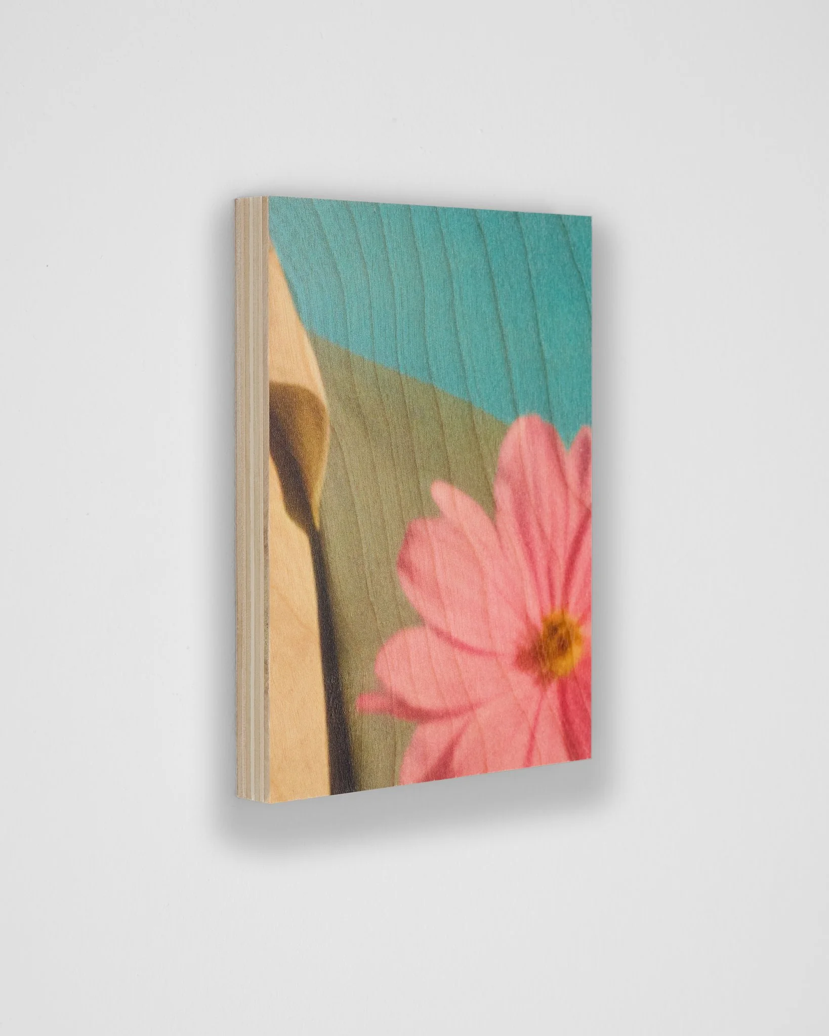 POST no.65, 2025 ©️ Sander Coers, courtesy Open Doors Gallery