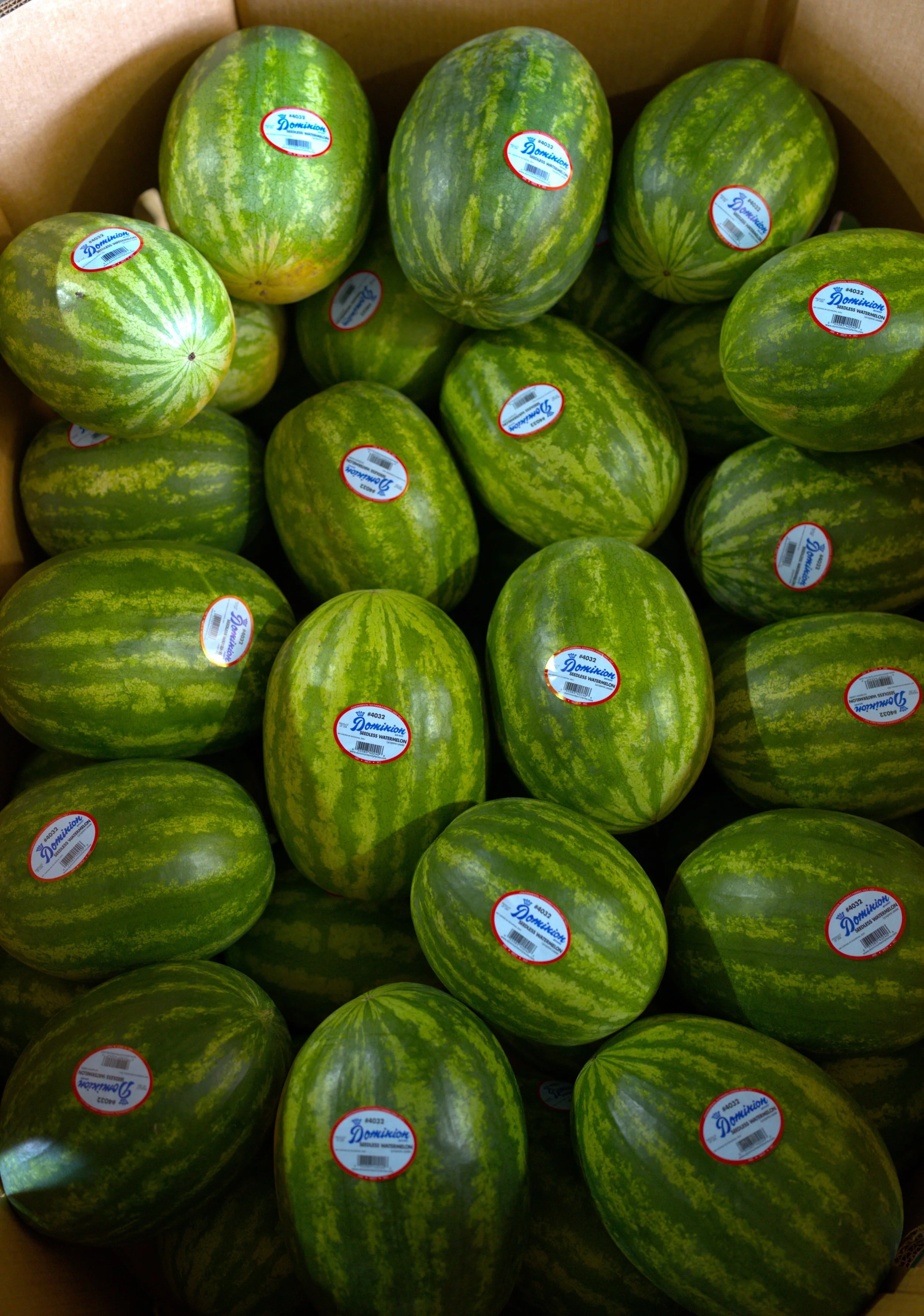 Watermelons