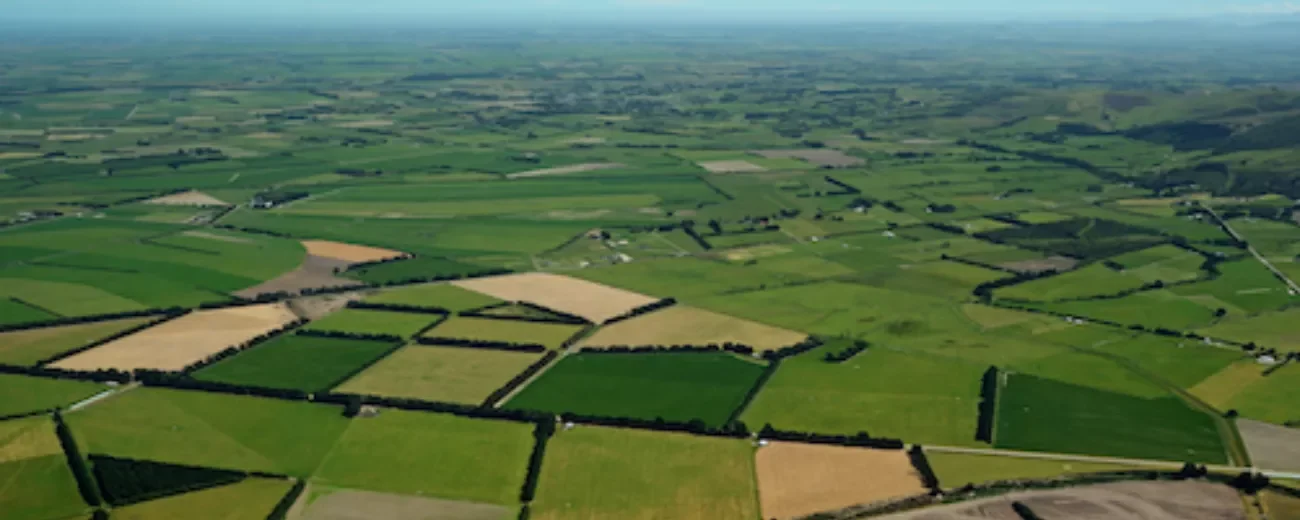 farm-placeholder 1.webp