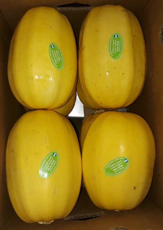 Spaghetti Squash