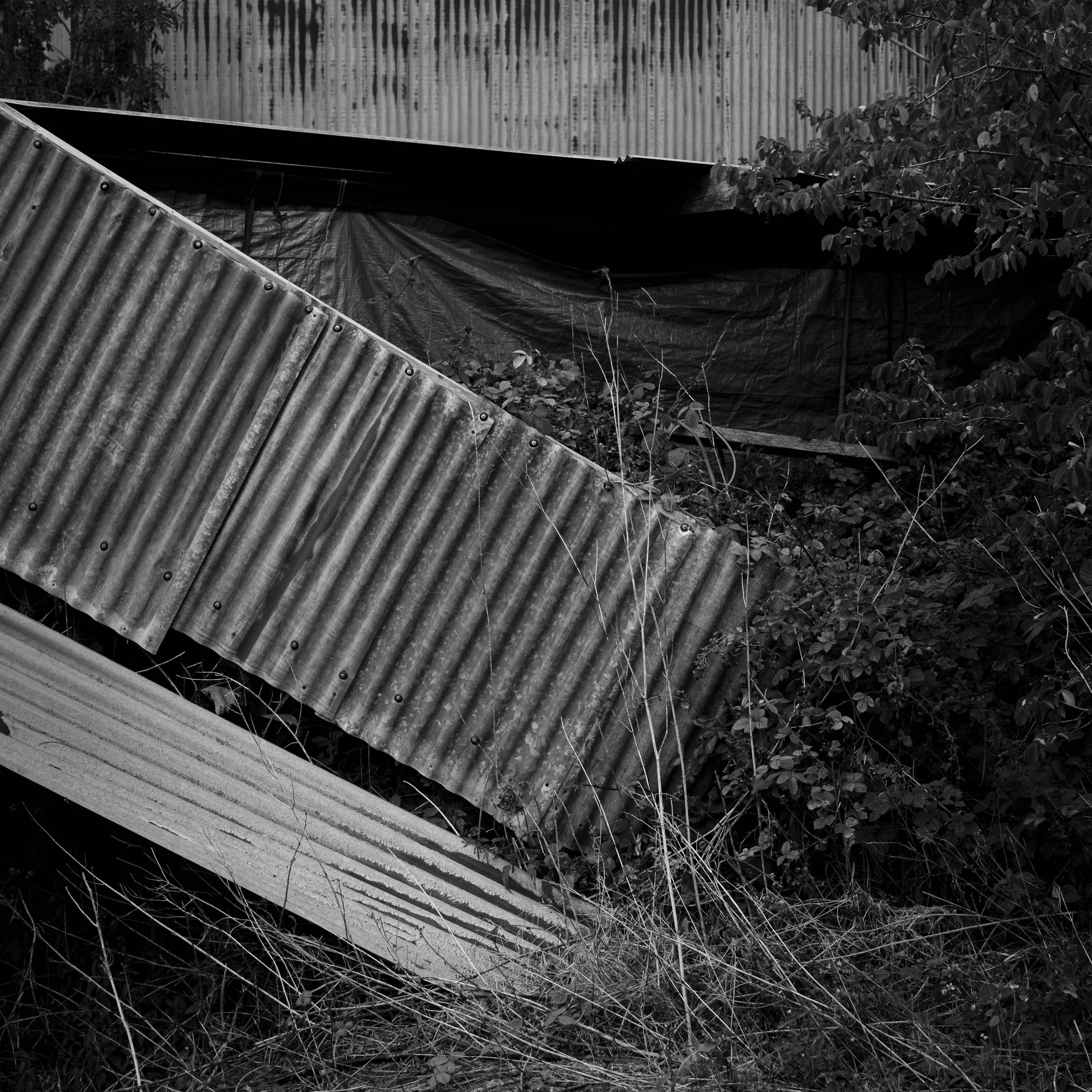 Falling Down