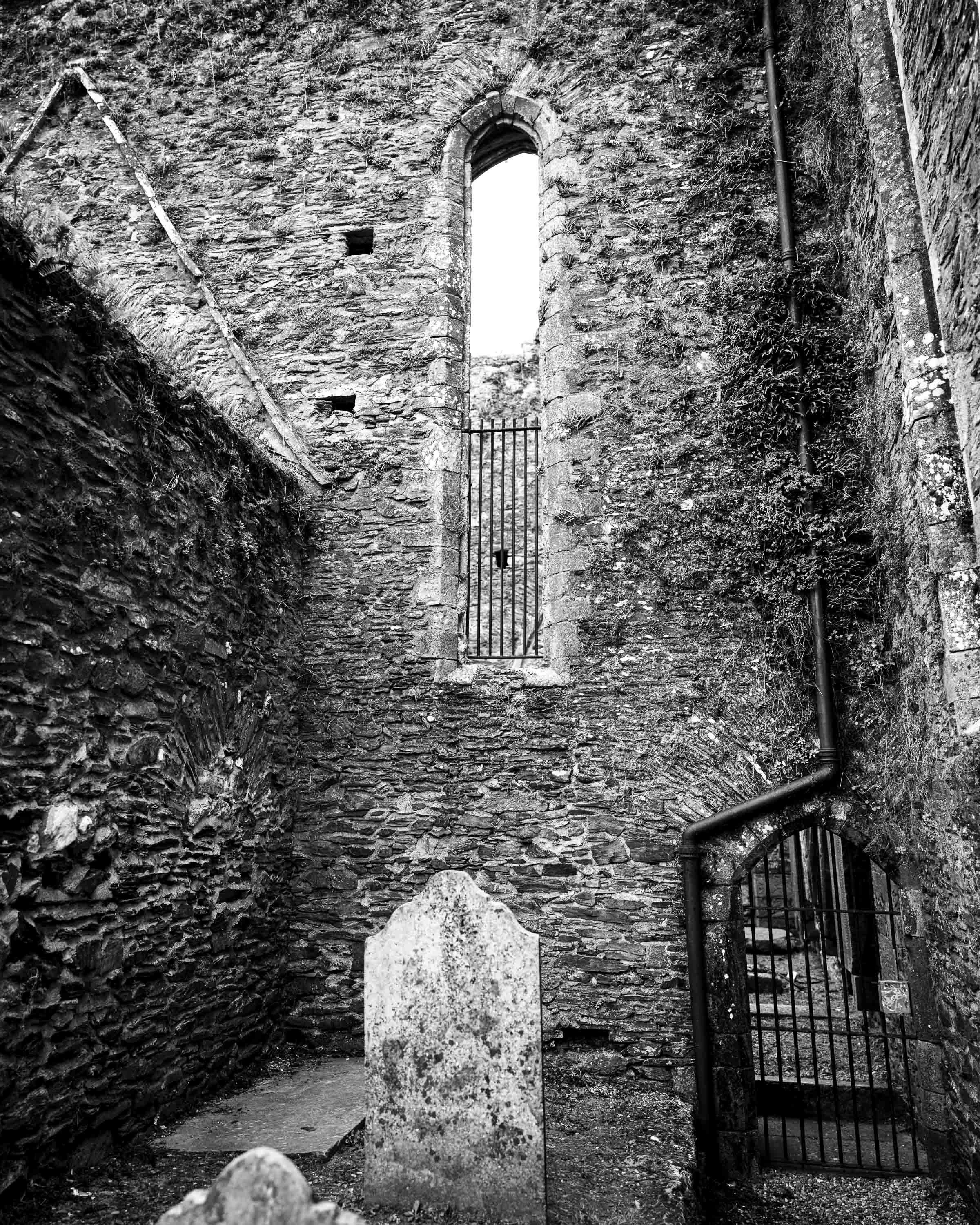 New Ross (15 of 15).jpg