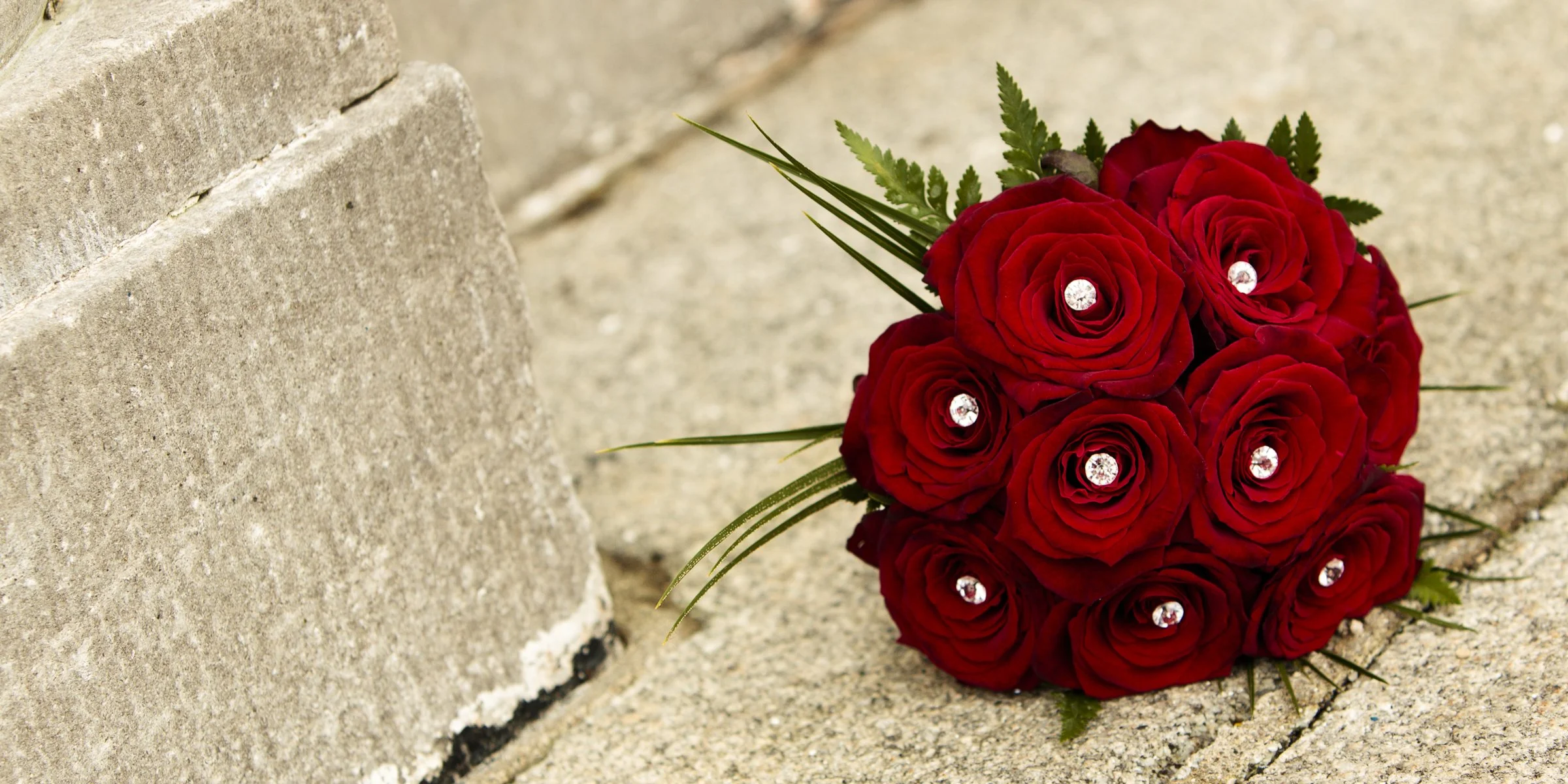 1101-Michael & Loraine Album-009.jpg