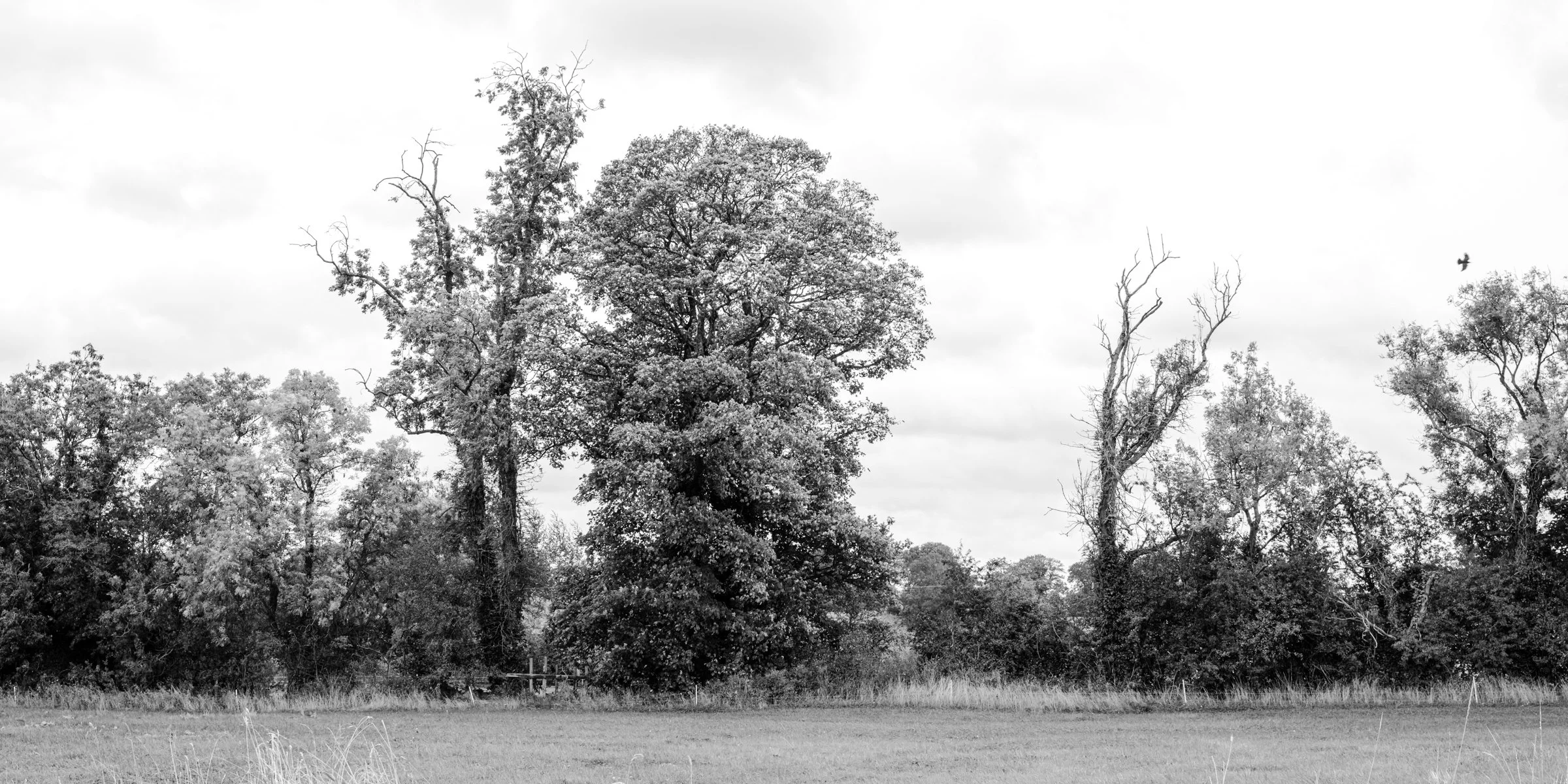 Darkness Falls Across the Land