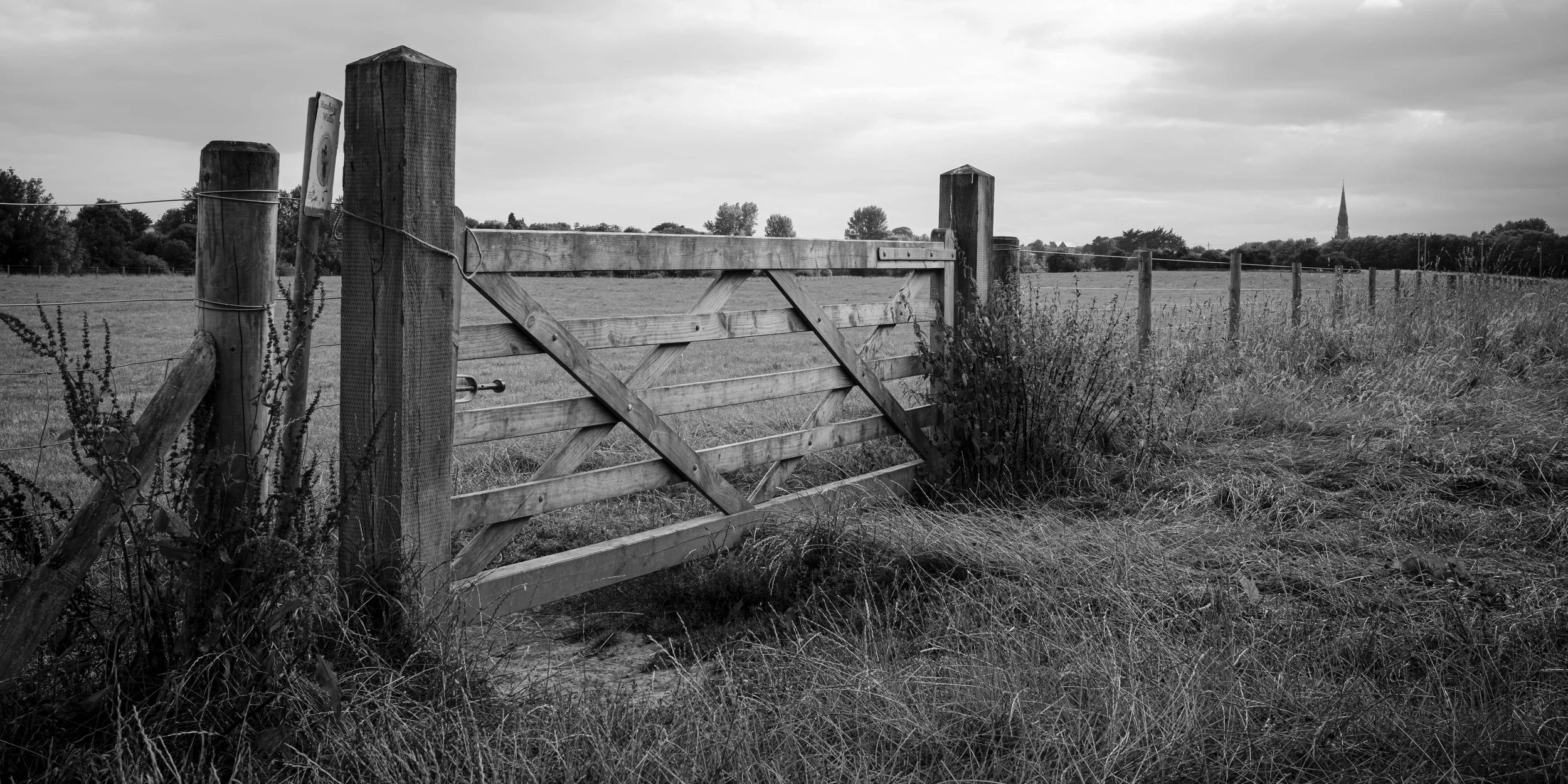 Lost but Likely Forgotten