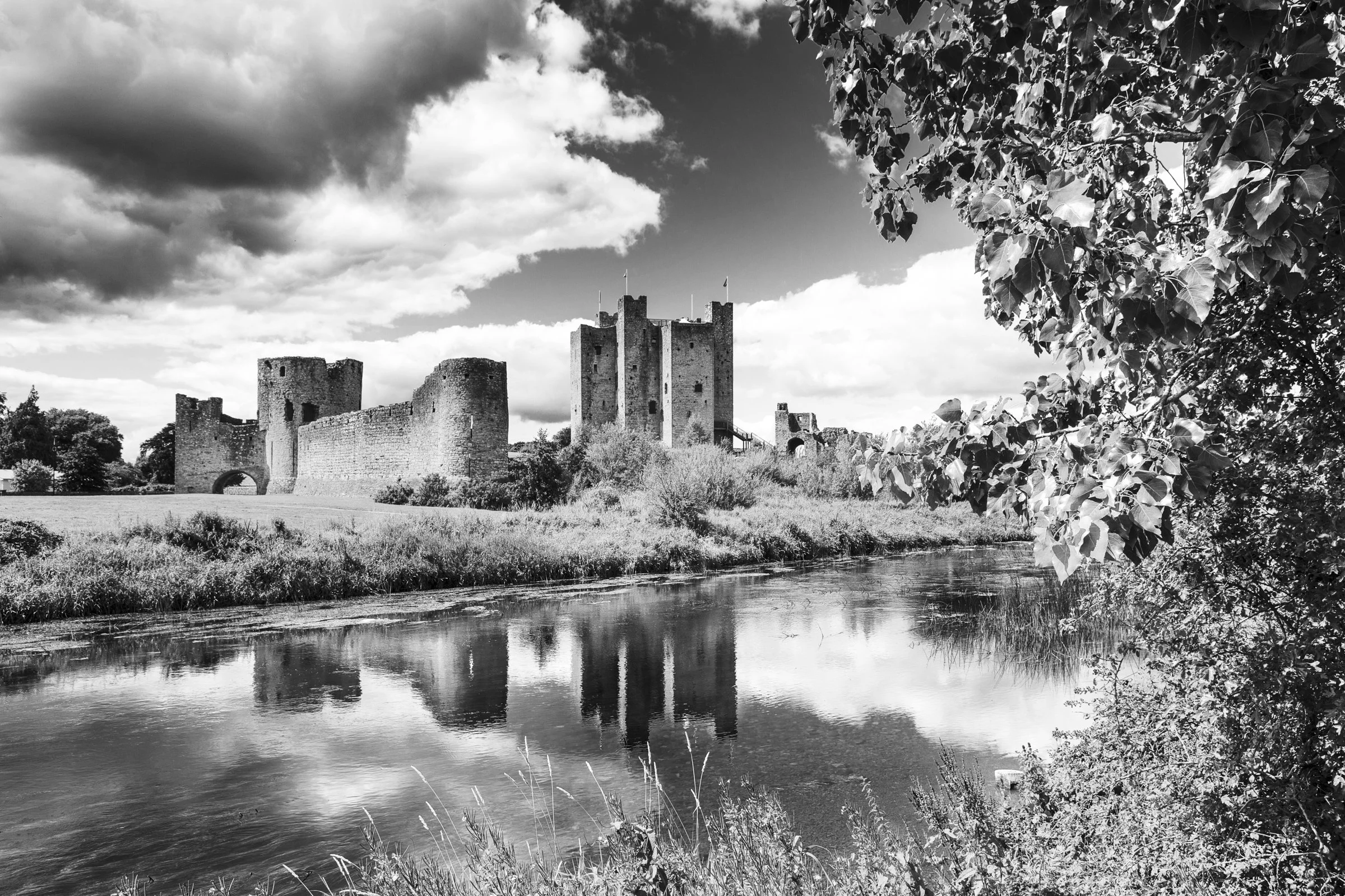 1108-Trim Town-022.jpg