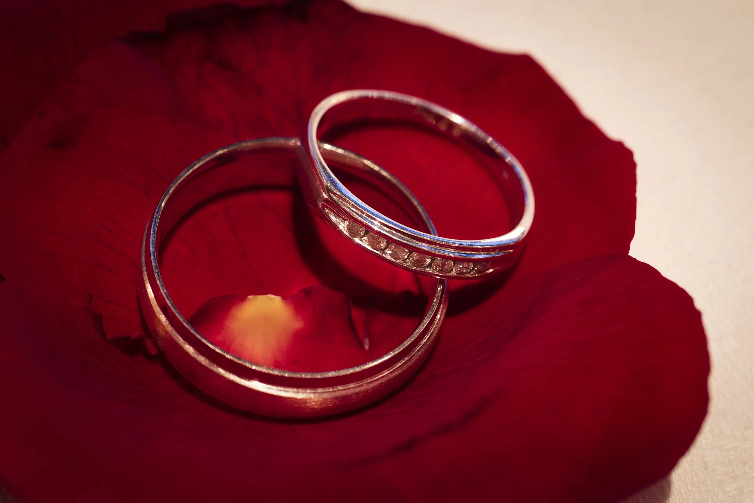 1101-Michael & Loraine Album-111.jpg