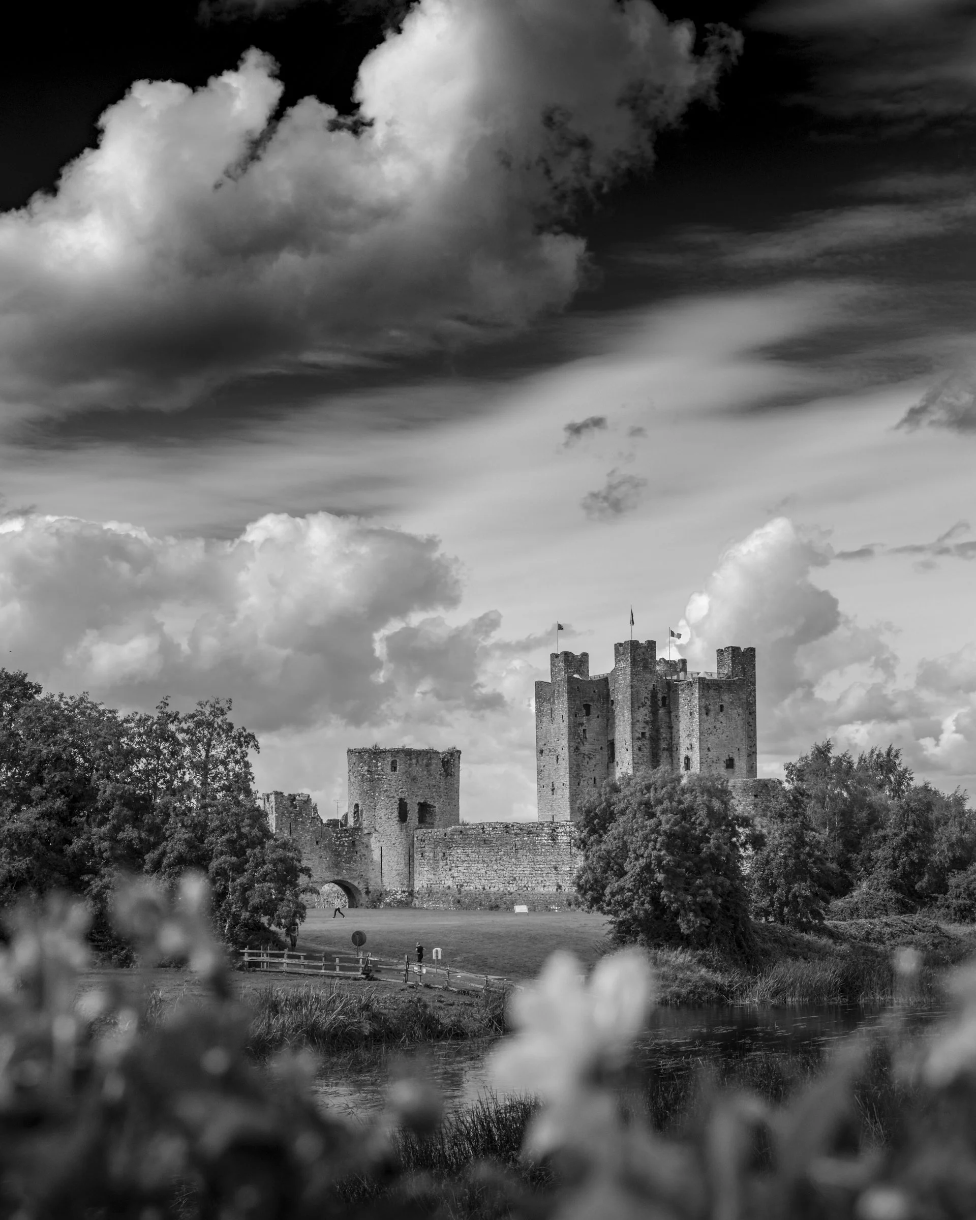 Flowering Castles