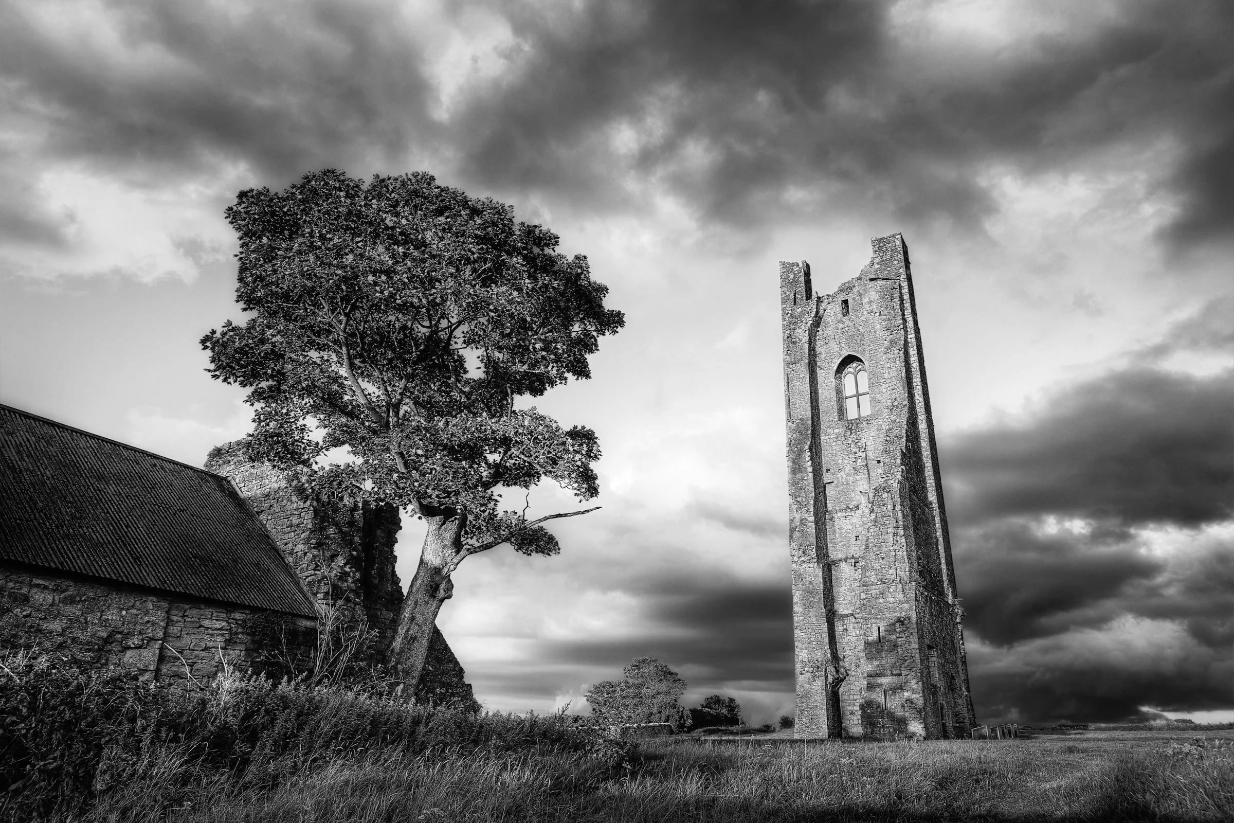 1108-Trim Town-028.jpg