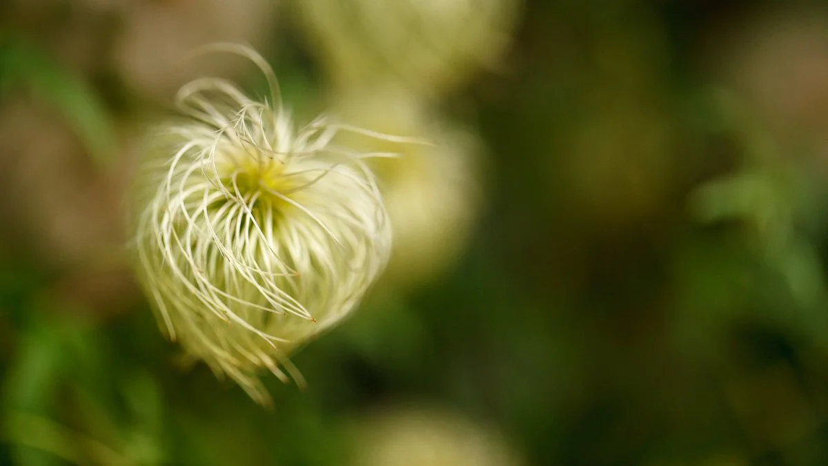 1208-German Holiday Web-032.jpg