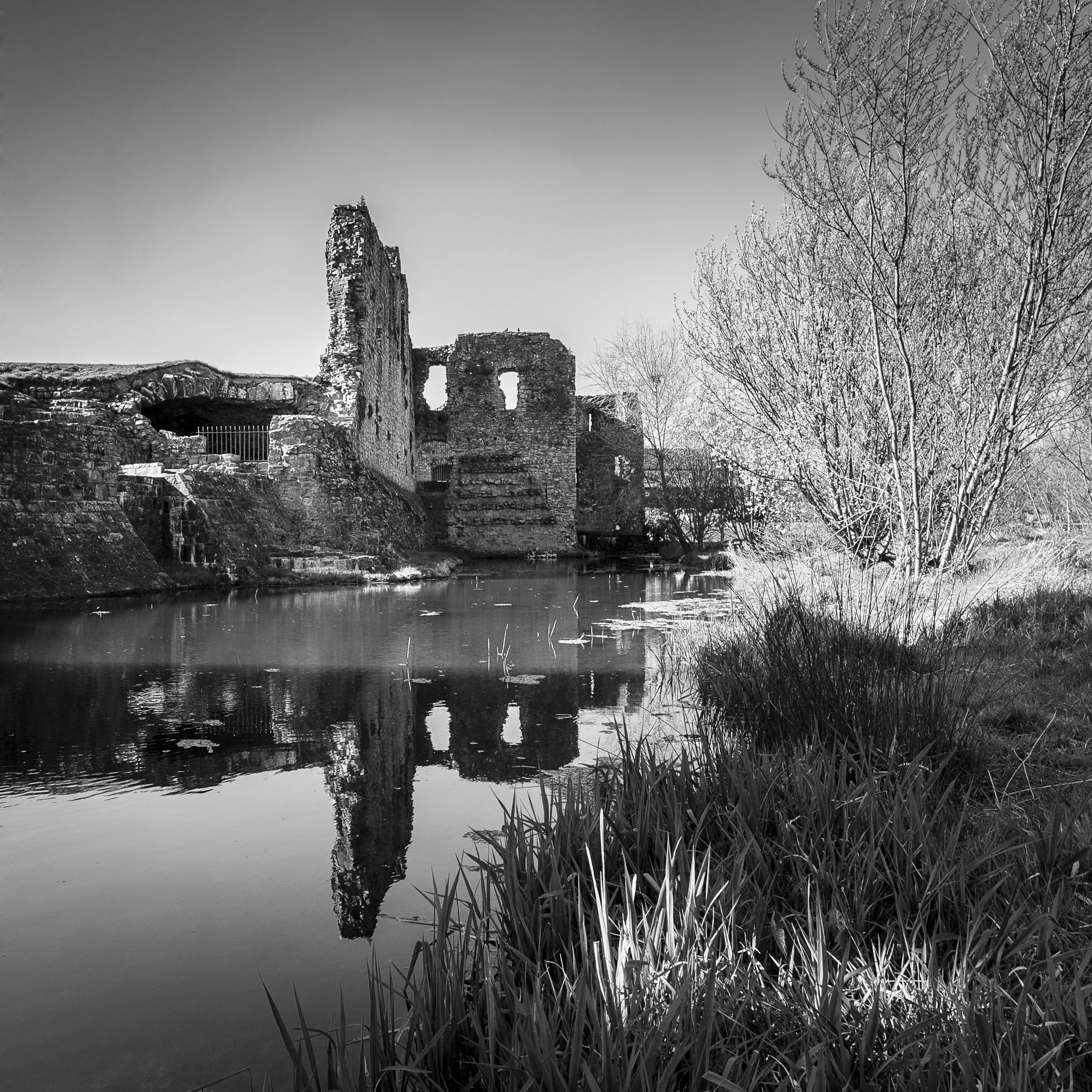 1203-Trim Town-039.jpg