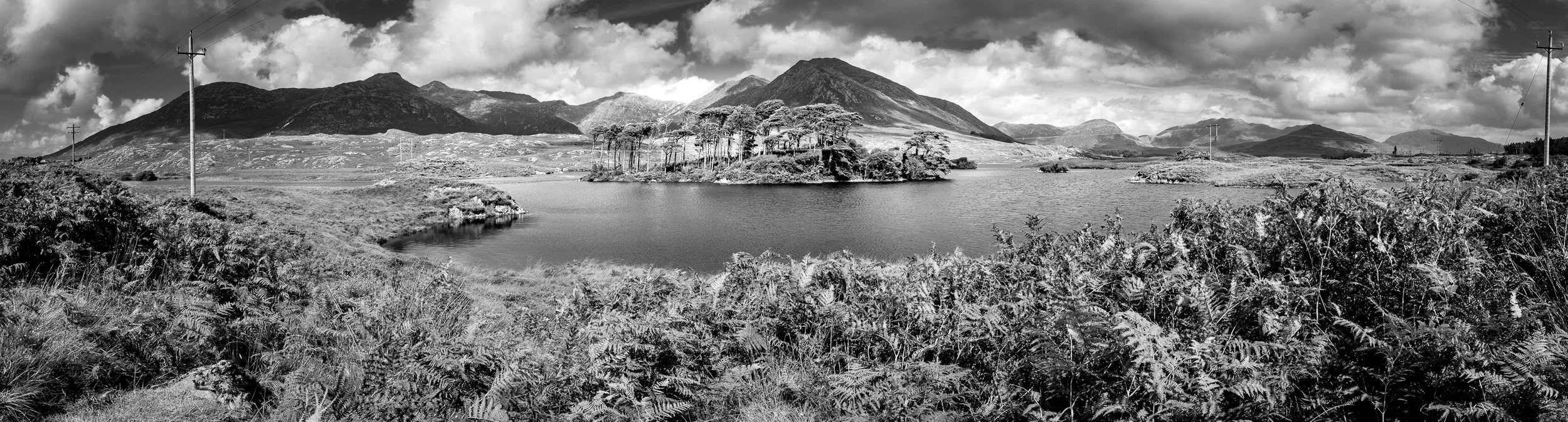 1608-Farewell to a Friend-026.jpg