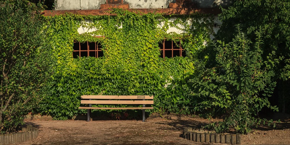 1208-German Holiday Part 2-016.jpg