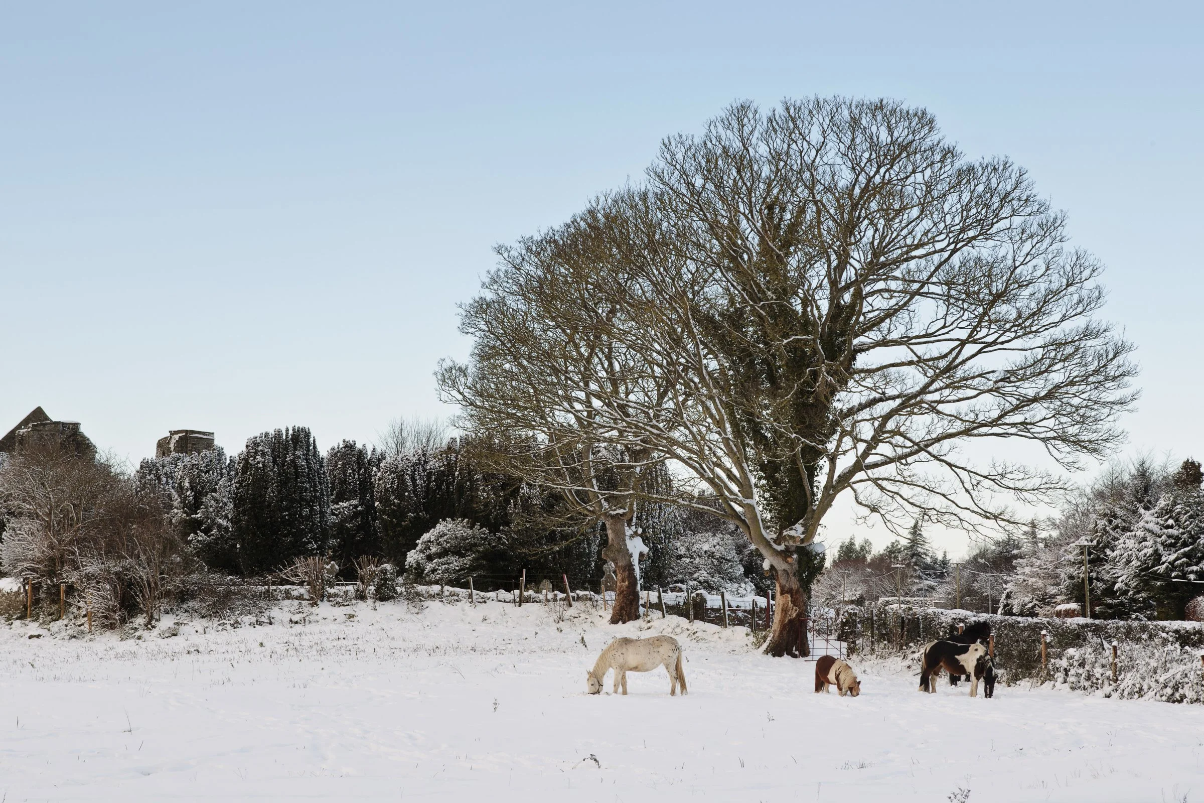 1012-Classic Postcard-005.jpg